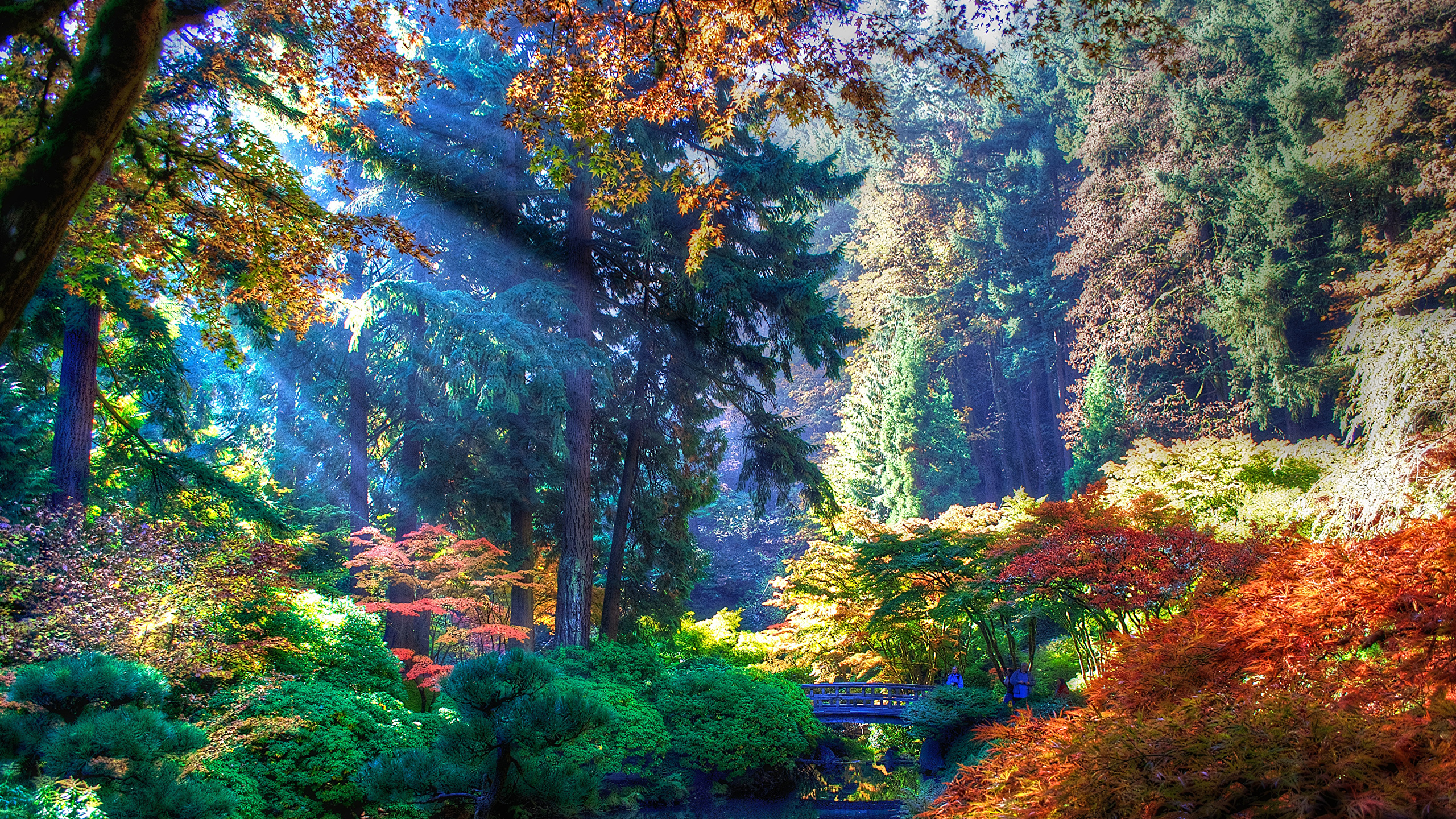 壁紙 2560x1440 アメリカ合衆国 公園 秋 Portland Oregon 低木 木 自然 ダウンロード 写真