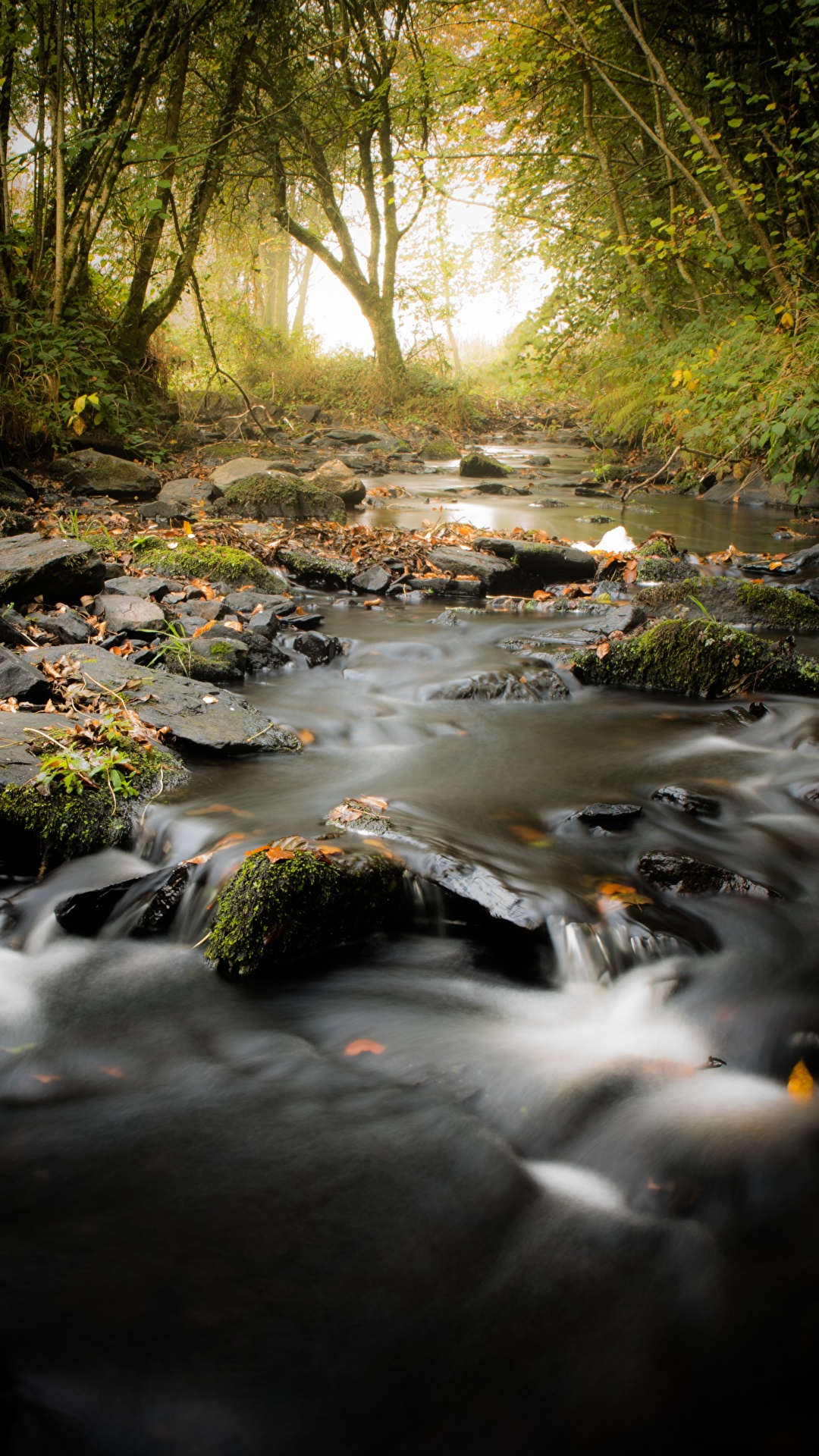 Fotos Von Natur Herbst Bache Steine 1080x19