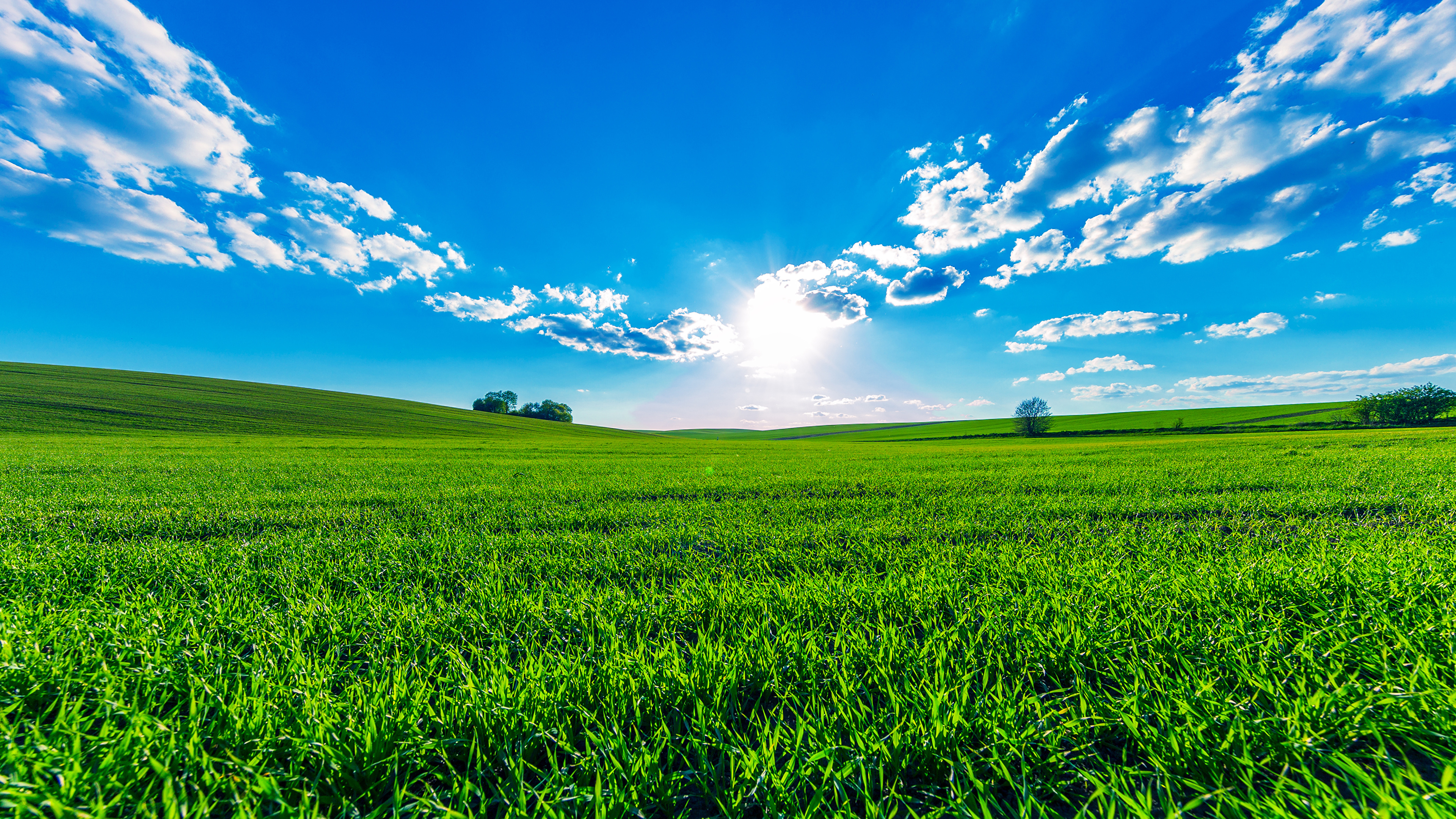 無料ダウンロード 夏 風景 壁紙 Hd壁紙画像