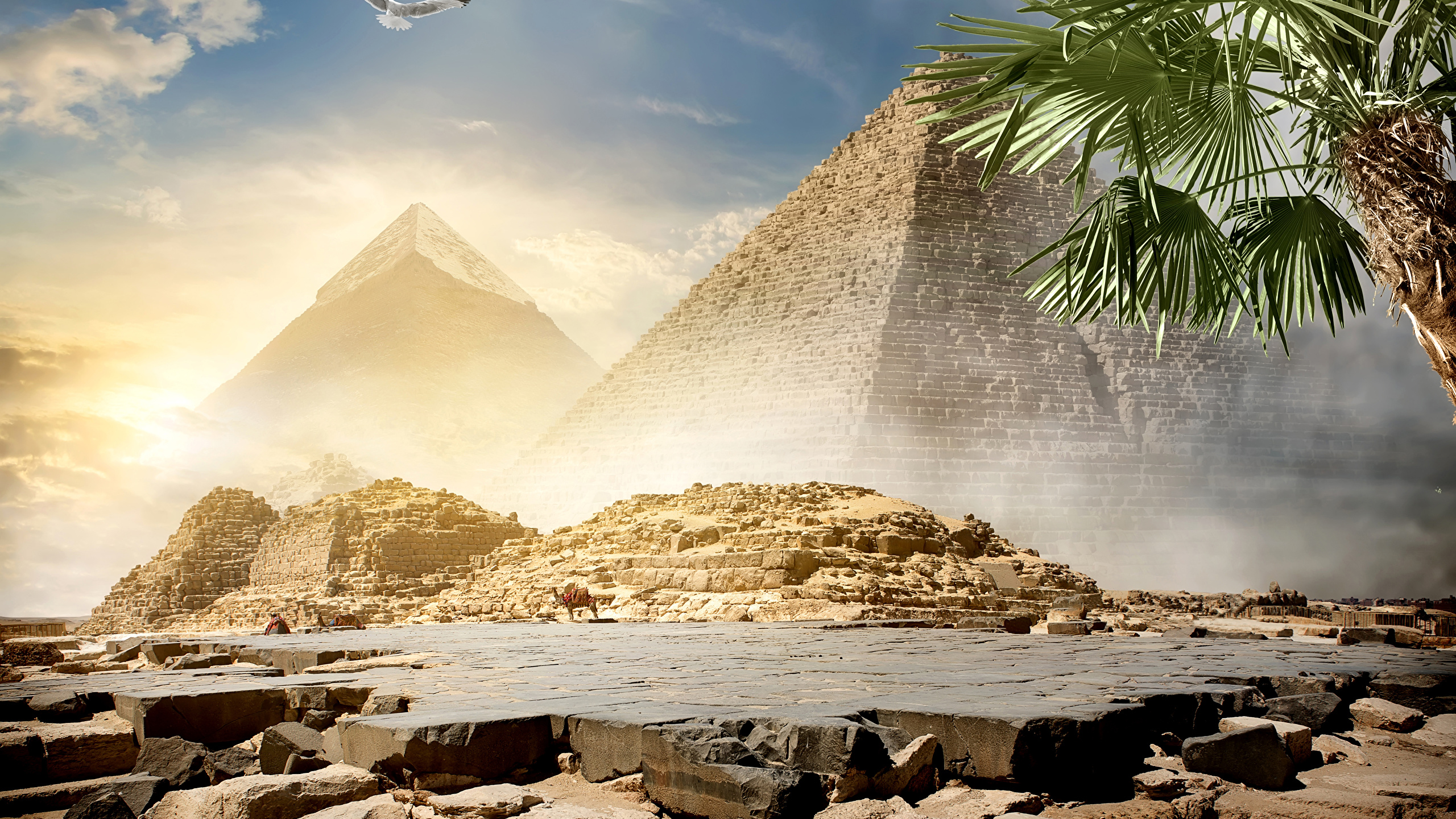 壁紙 2560x1440 エジプト 砂漠 石 空 Cairo ピラミッド 自然 ダウンロード 写真