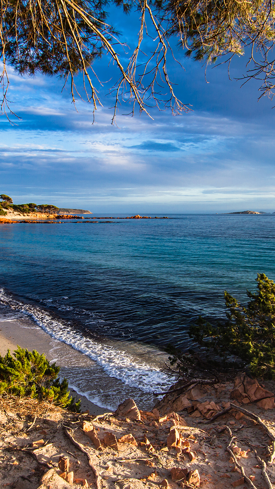 Tarco Nature Island Corsica Ocean France Beaches HD wallpaper | Pxfuel