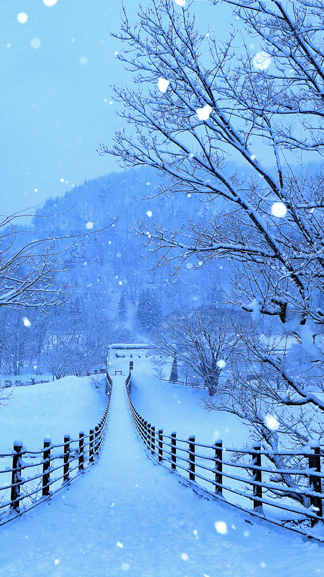 壁紙 1080x19 日本 冬 道 Shirakawa Go And Gokayama 雪 塀 自然 ダウンロード 写真