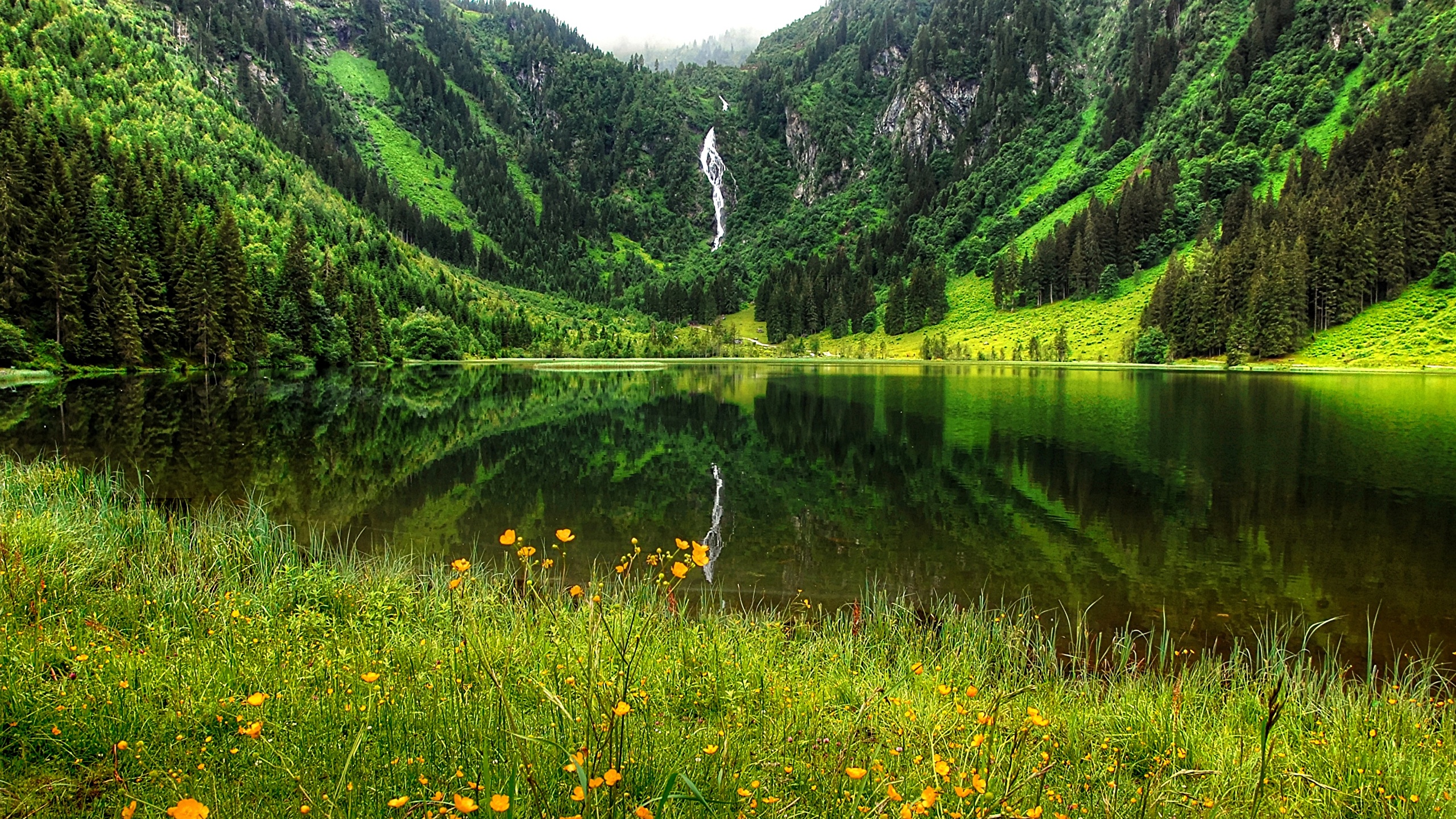 壁紙 2560x1440 夏 湖 山 ドイツ Bergsee 草 自然 ダウンロード 写真