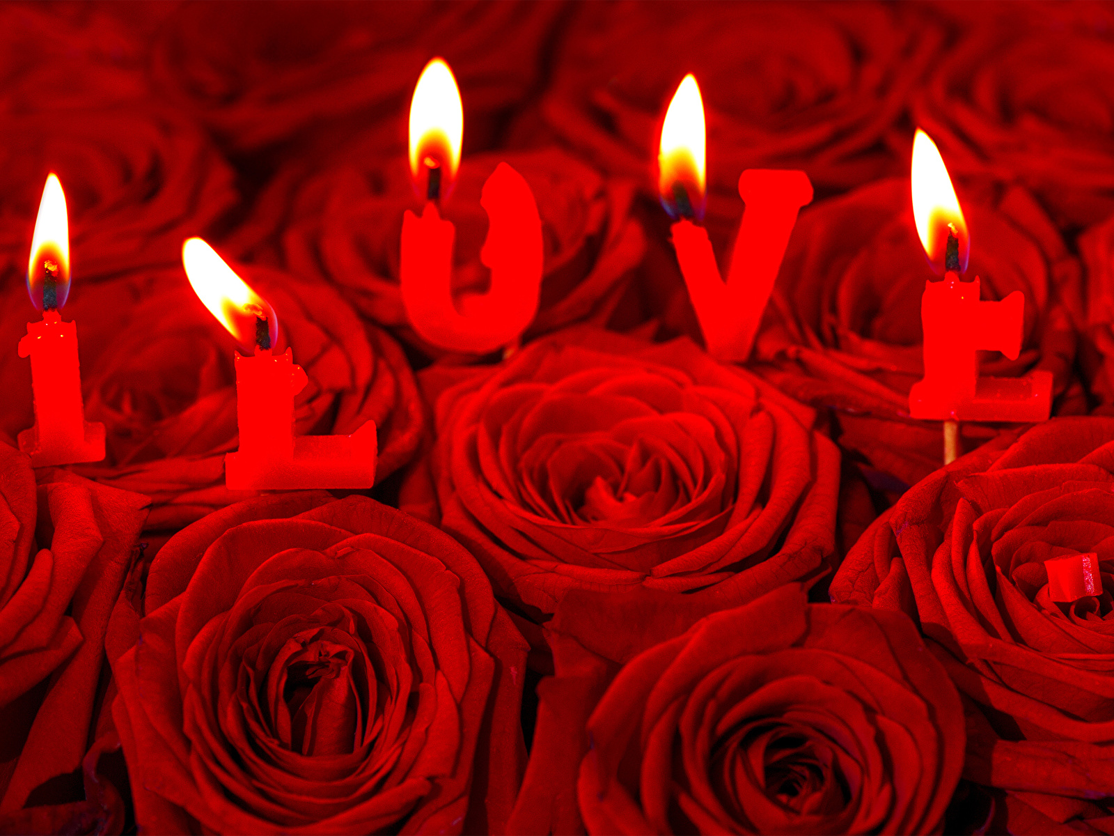 Fonds Decran 1600x1200 Saint Valentin Roses Bougies Amour