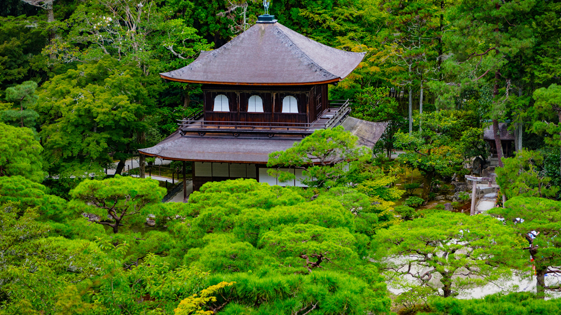 壁紙 19x1080 日本 京都市 公園 寺院 木 自然 ダウンロード 写真