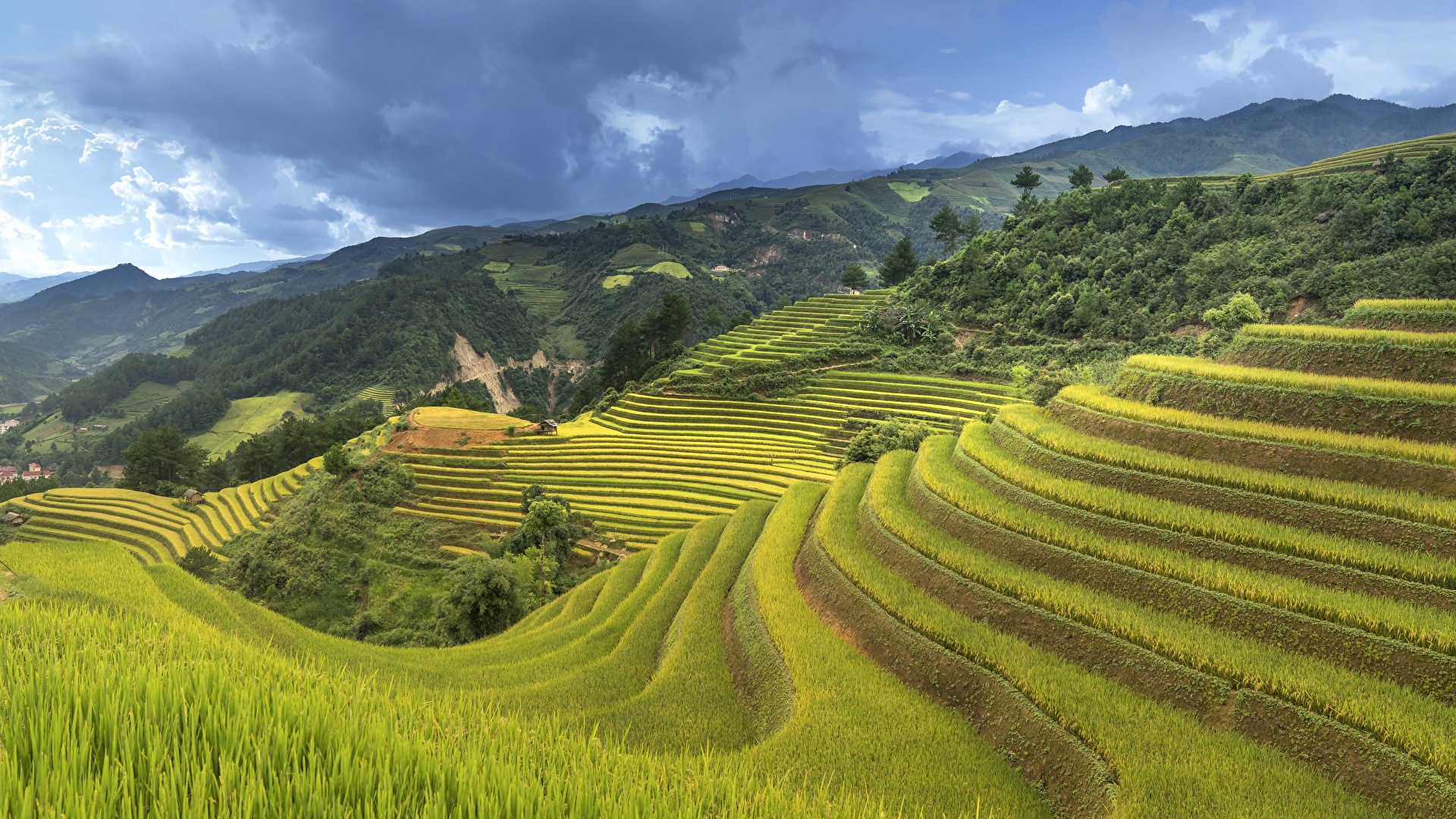 Photos Vietnam Nature Hill Fields 1920x1080