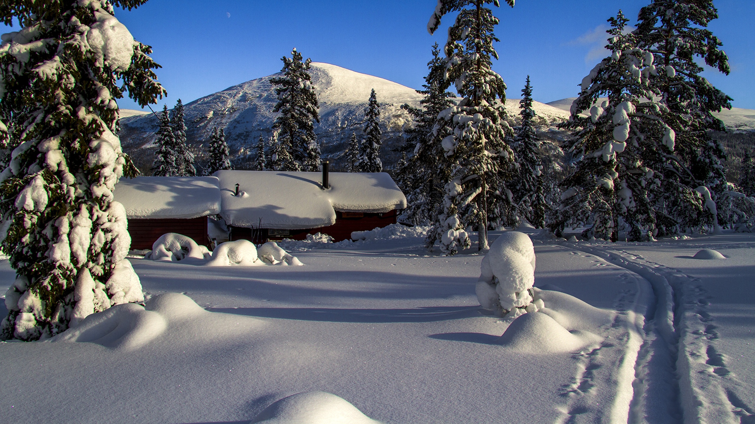 Фотографии Норвегия mountain Storkletten Ель гора Зима 2560x1440