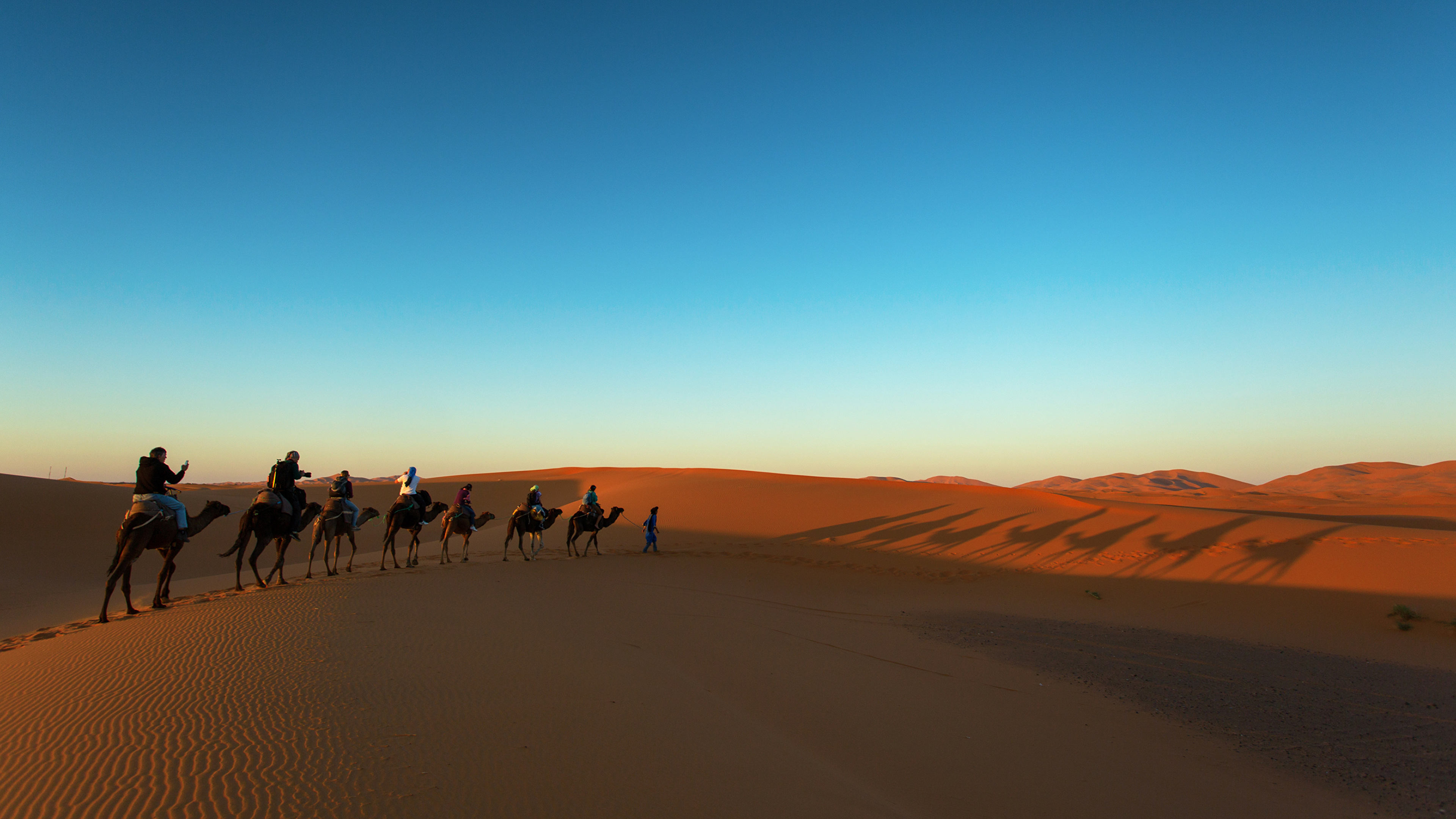 壁紙 3840x2160 砂漠 朝焼けと日没 ラクダ 砂 自然 ダウンロード 写真