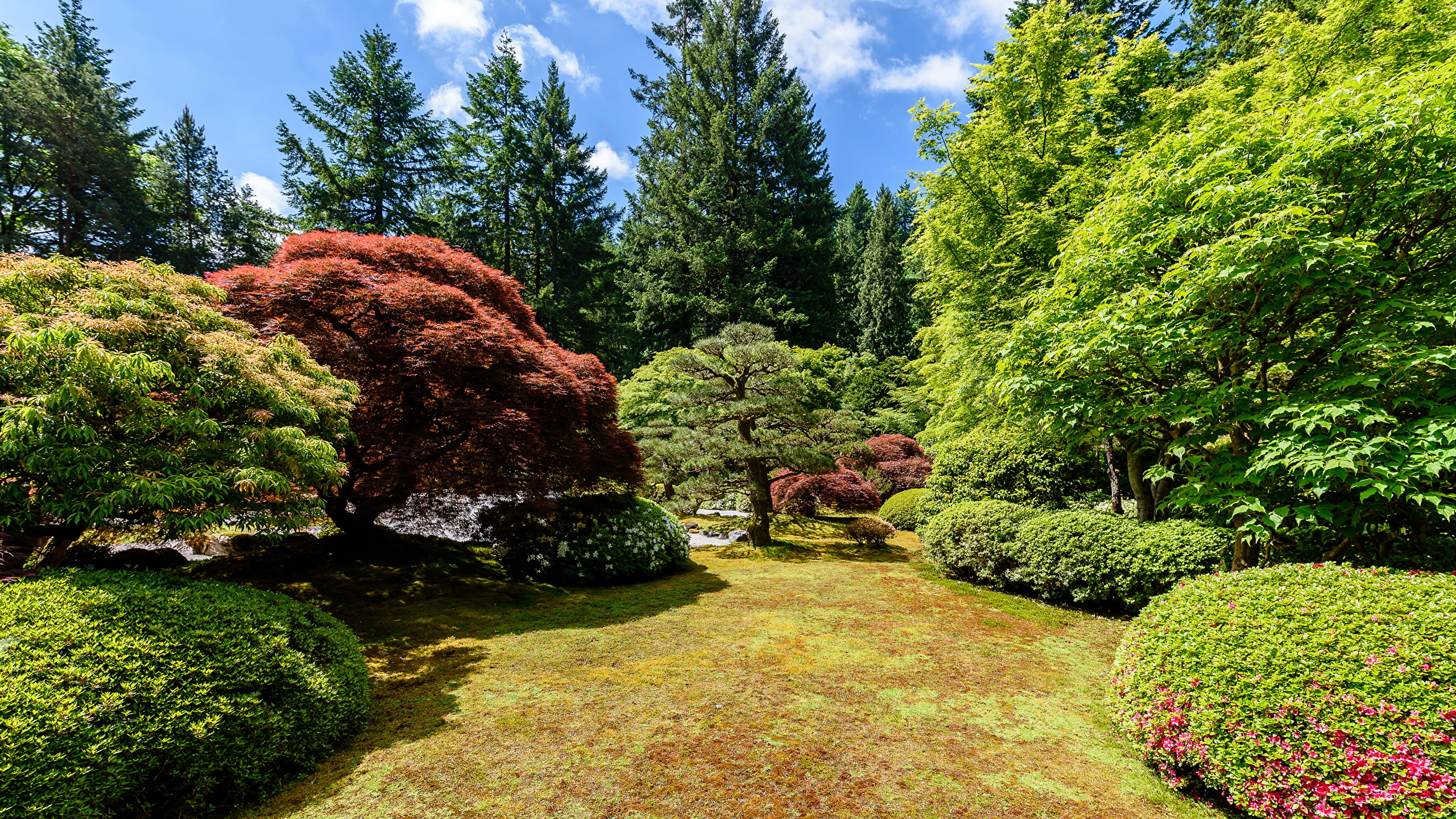 Bilder Von Vereinigte Staaten Portland Japanese Garden 2560x1440