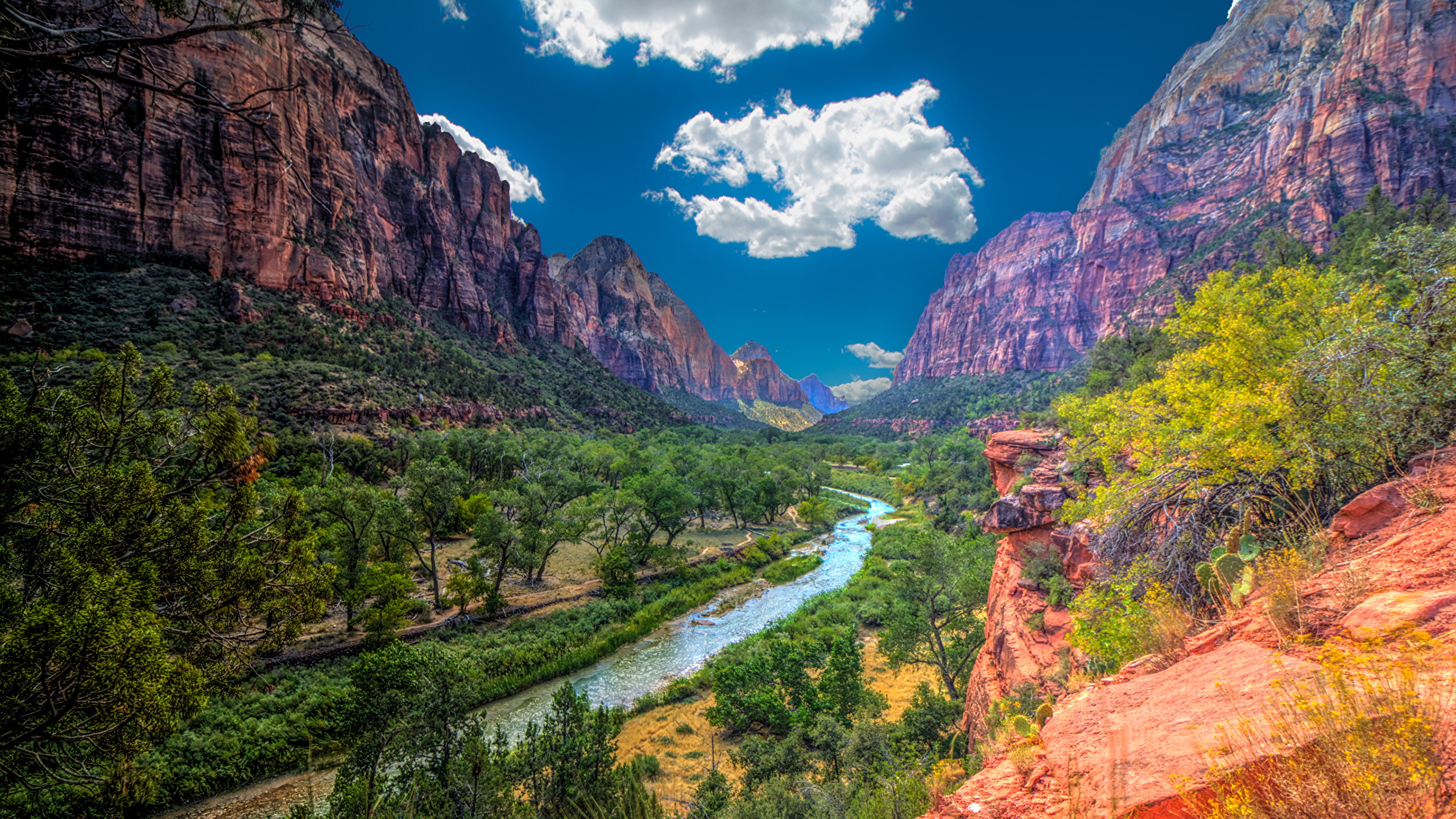 Free download Zion National Park wallpaper Nature wallpapers 35659  2560x1600 for your Desktop Mobile  Tablet  Explore 43 Zion National  Park Desktop Wallpaper  Arches National Park Wallpaper Glacier National  Park