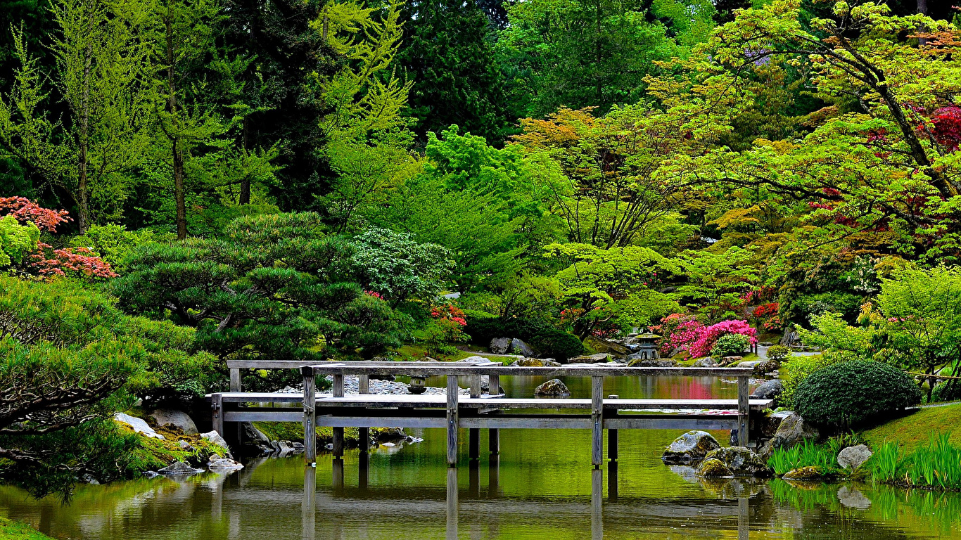 Wallpaper Seattle USA Japanese Garden bridge Nature Pond 1366x768