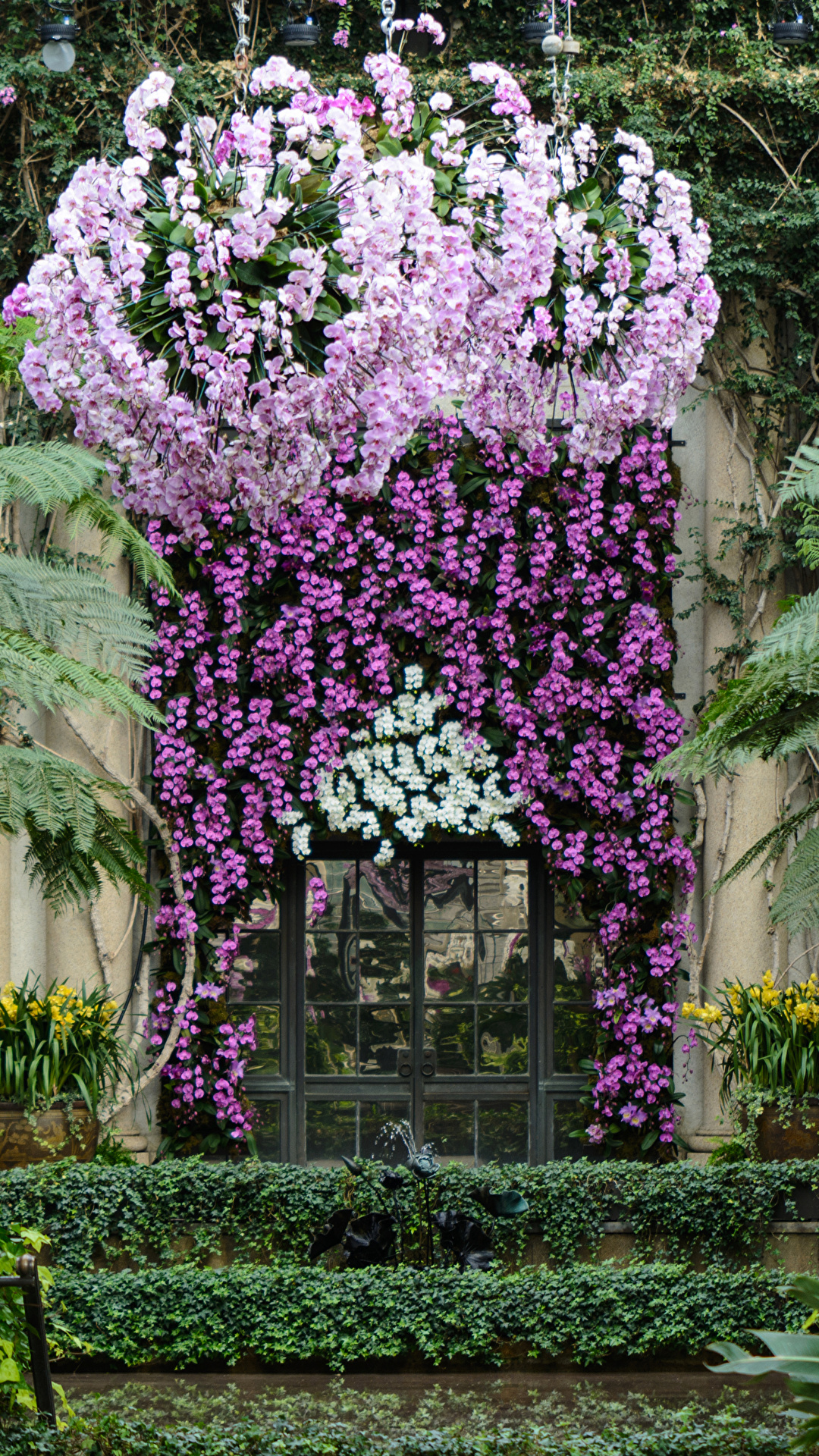 Fotos Von Usa Longwood Gardens Natur Orchideen Garten 1080x1920