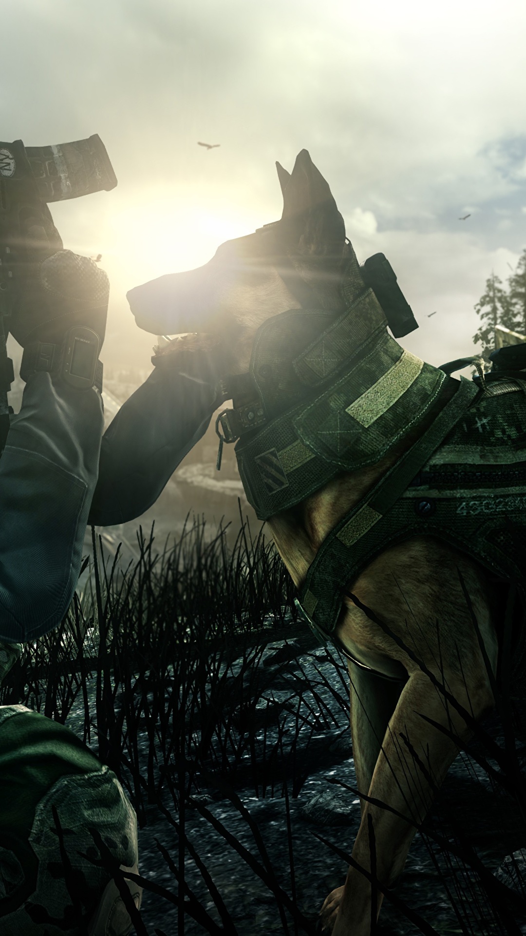 de Pantalla Perro Soldados Pastor alemán Call of Duty: Ghosts Juegos 3D Gráficos descargar imagenes