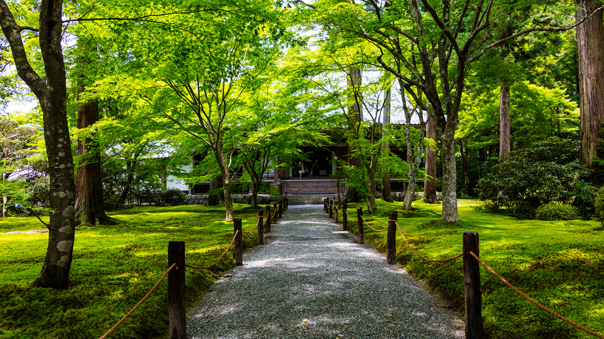 壁紙 19x1080 日本 京都市 公園 Ohara 木 自然 ダウンロード 写真