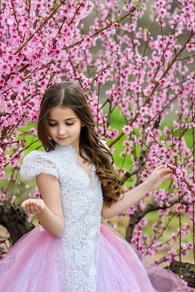 壁紙 640x960 春 花の咲く木 小さな女の子 ドレス 子供 ダウンロード 写真