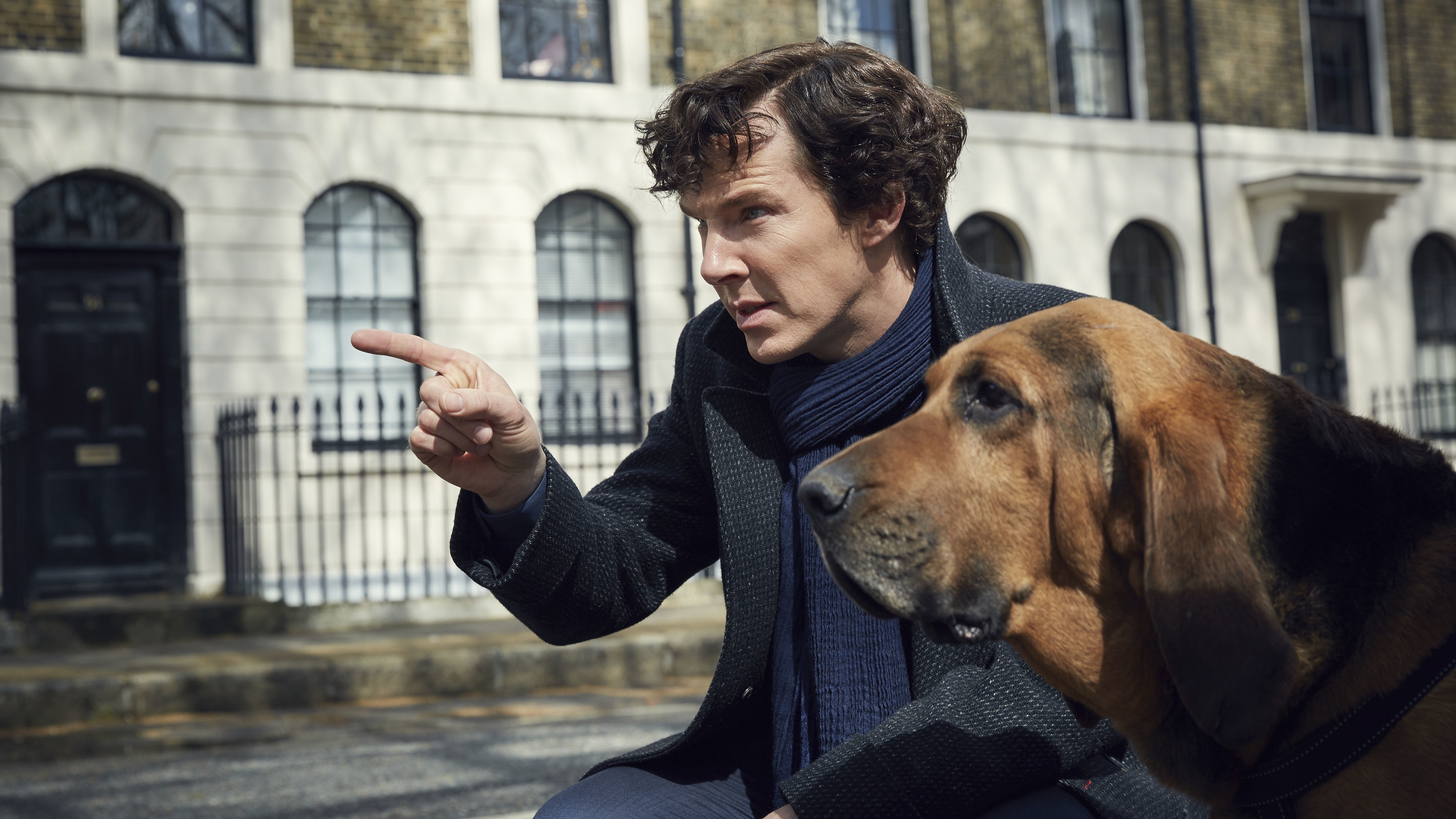 壁紙 3840x2160 イヌ 男性 ベネディクト カンバーバッチ Sherlock Season 4 映画 有名人 ダウンロード 写真