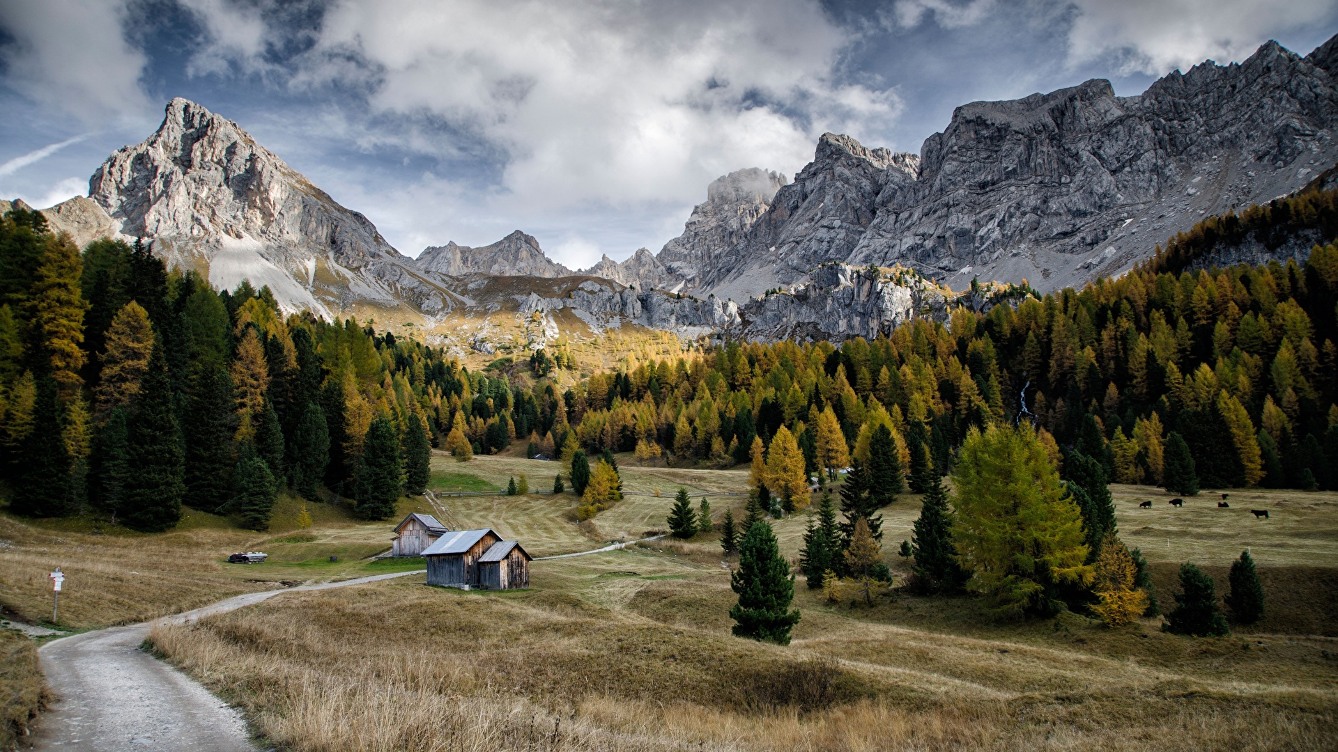 Sfondi Italia Val Di Fassa Dolomites Natura Autunno 19x1080