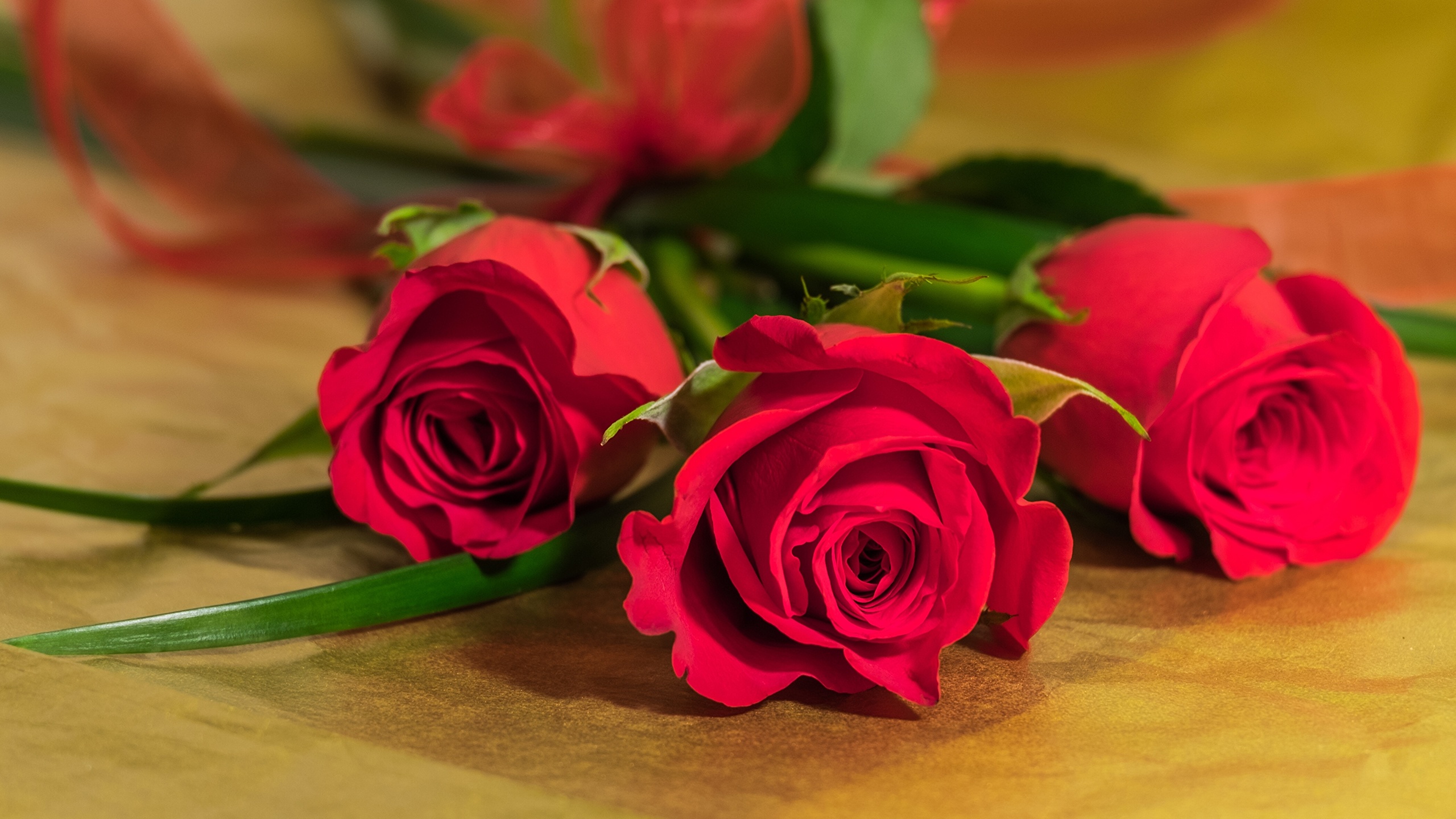 Images Red Roses flower 2560x1440