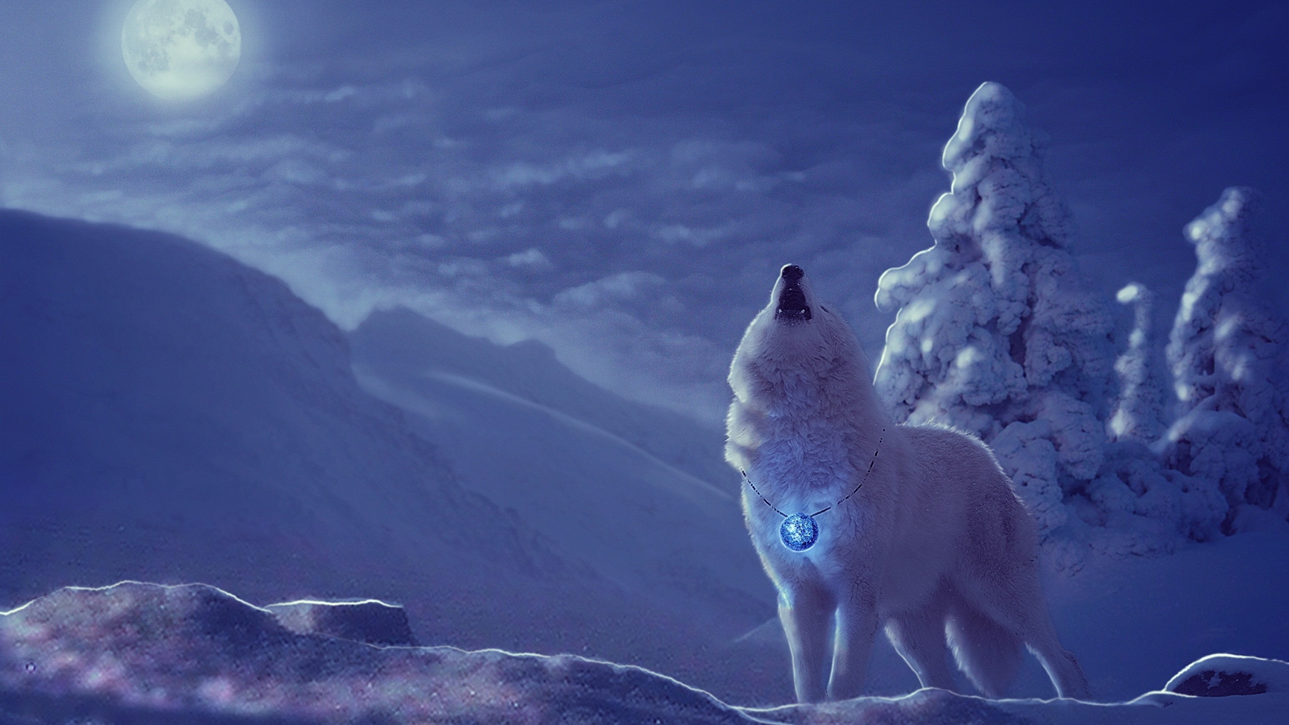 Pictures wolf Winter Fantasy Snow Moon Night Magical 2560x1440