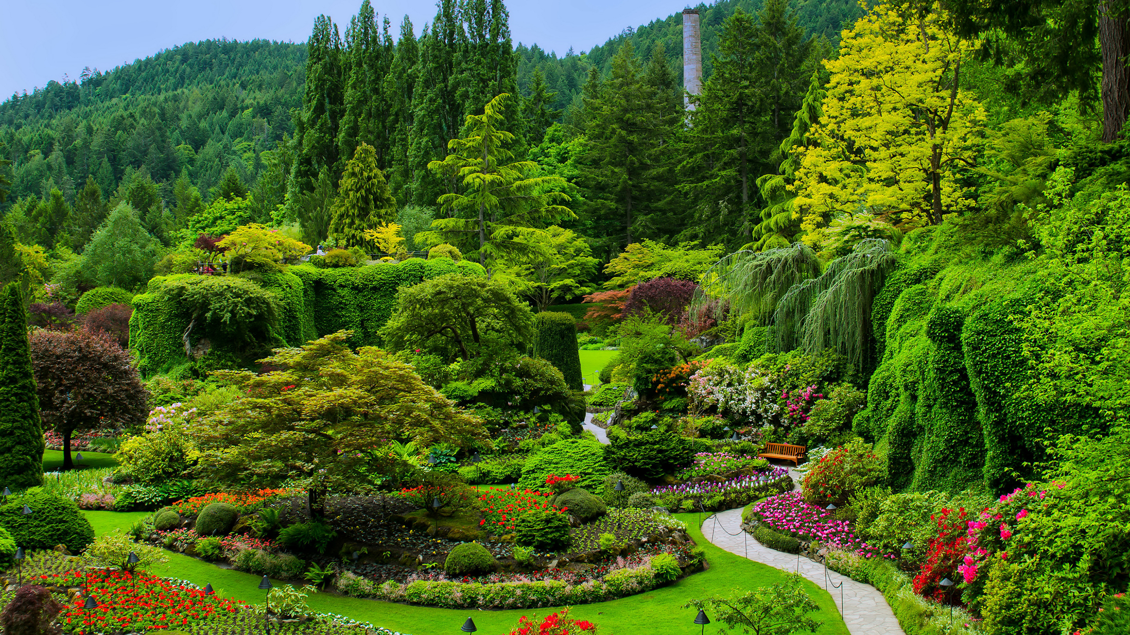 Picture Canada  Butchart  Gardens Victoria Nature Lawn Trees 