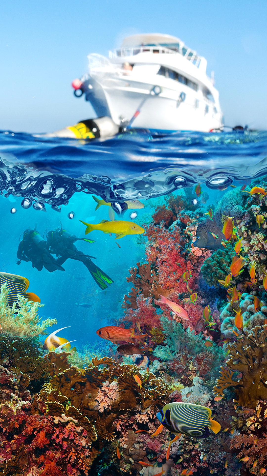壁紙 1080x19 アンダーウォーターワールド サンゴ 魚類 ヨット ダイビング 動物 ダウンロード 写真
