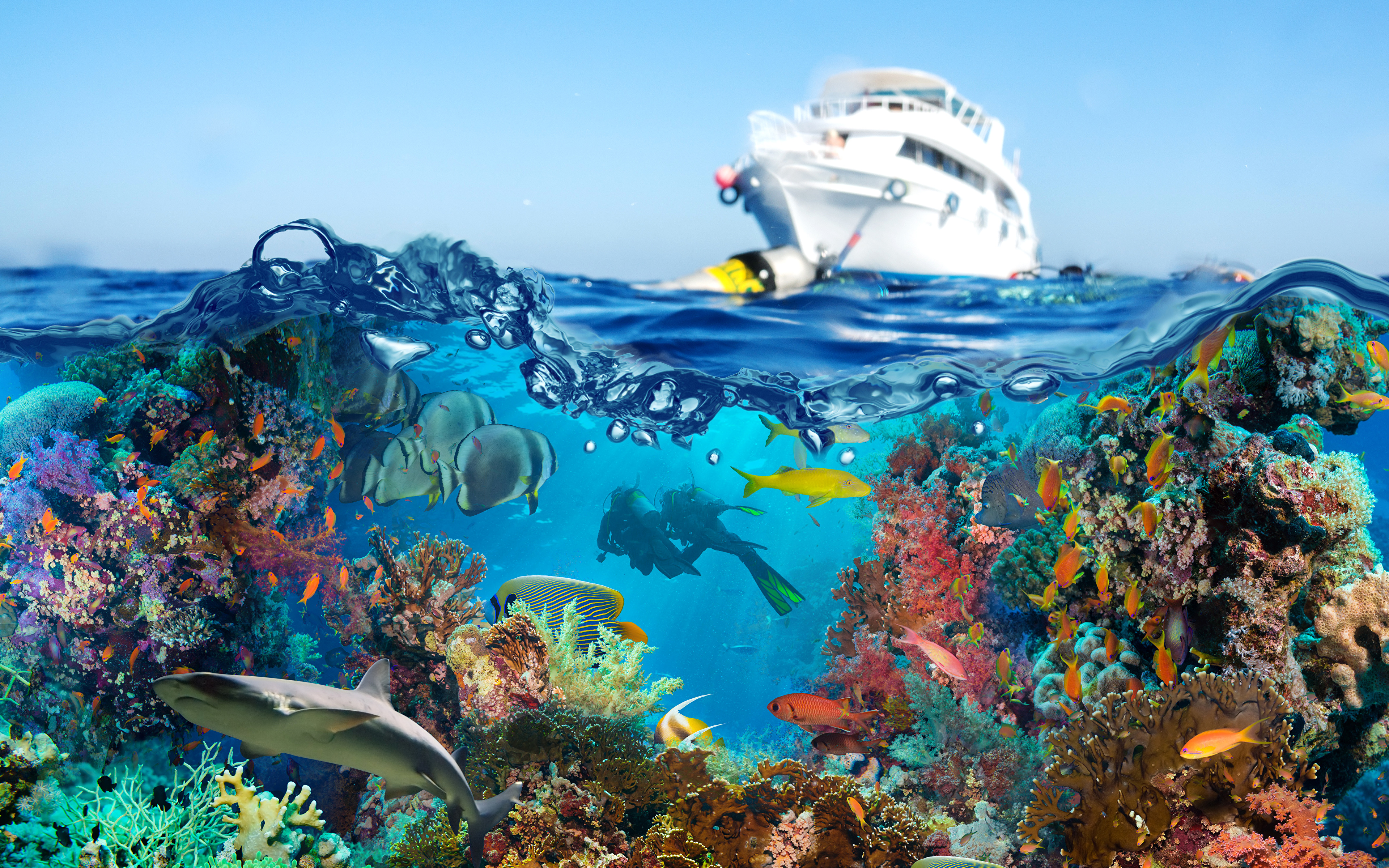 壁紙 3840x2400 アンダーウォーターワールド サンゴ 魚類 ヨット ダイビング 動物 ダウンロード 写真