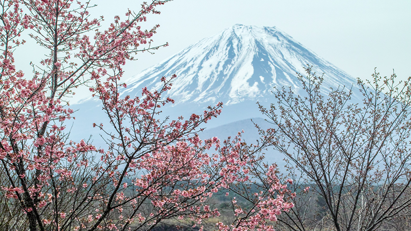 壁紙 1366x768 富士山 日本 火山 自然 ダウンロード 写真