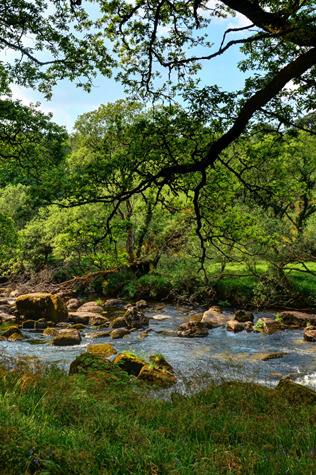 Dartmoor & Princetown | The Duchy of Cornwall