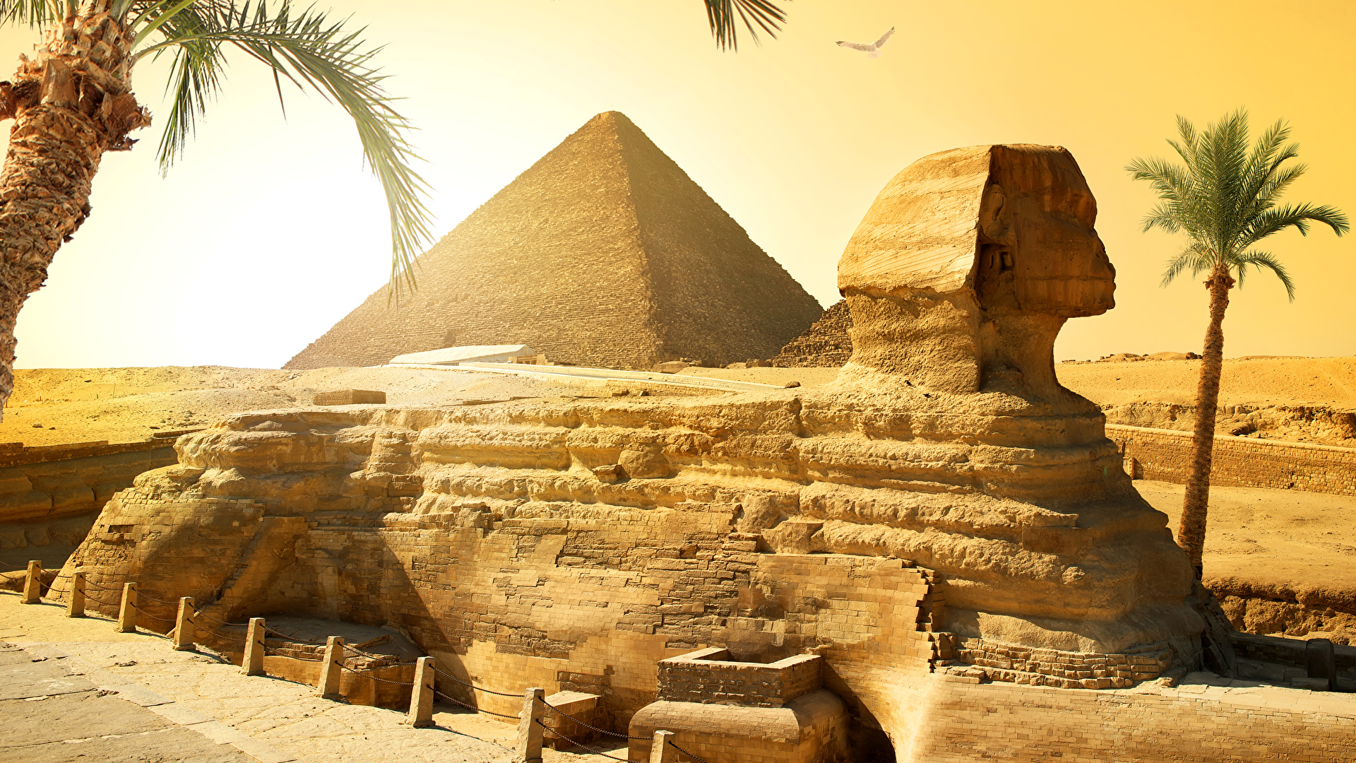 壁紙 19x1080 エジプト 砂漠 Cairo ピラミッド ヤシ 自然 ダウンロード 写真