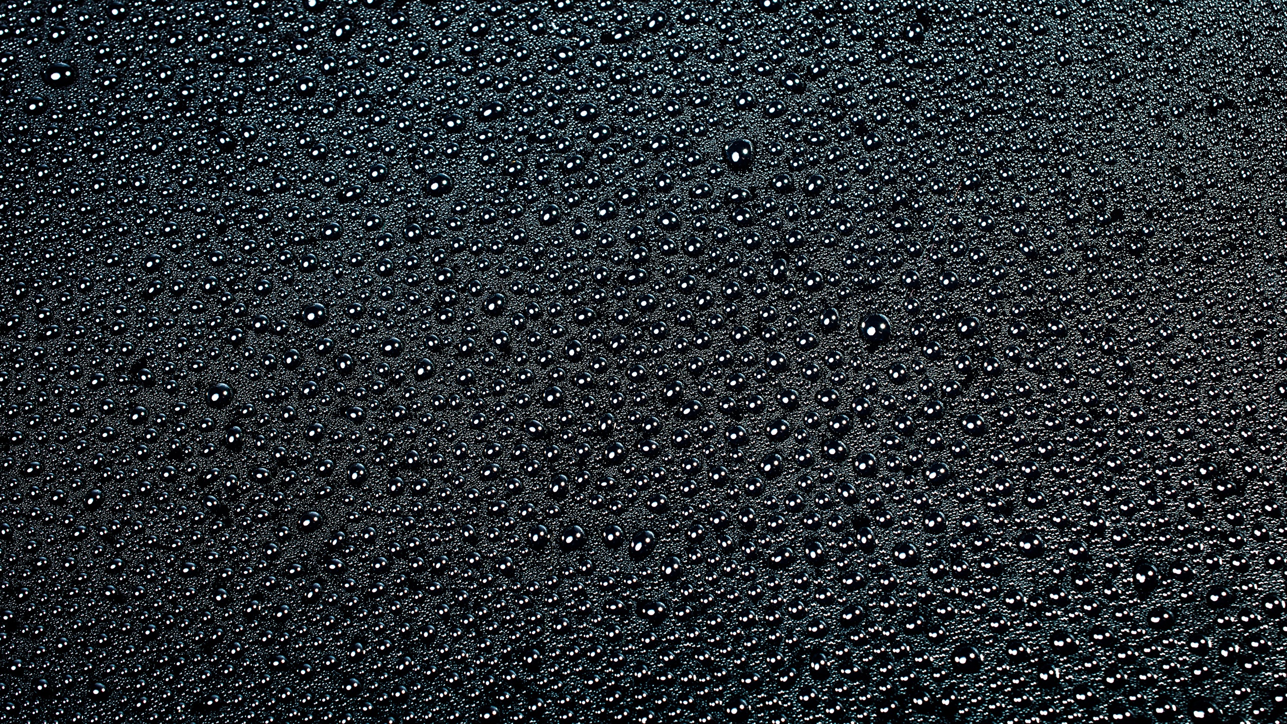 壁紙 2560x1440 テクスチャー 水滴 黑 黒色背景 ダウンロード 写真