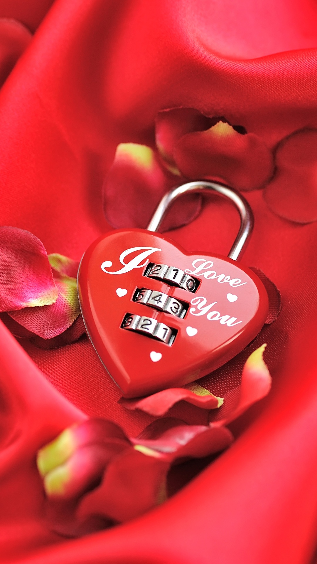 Fondos de Pantalla 1080x1920 Día de San Valentín Corazón Pétalo Rojo Candado  descargar imagenes