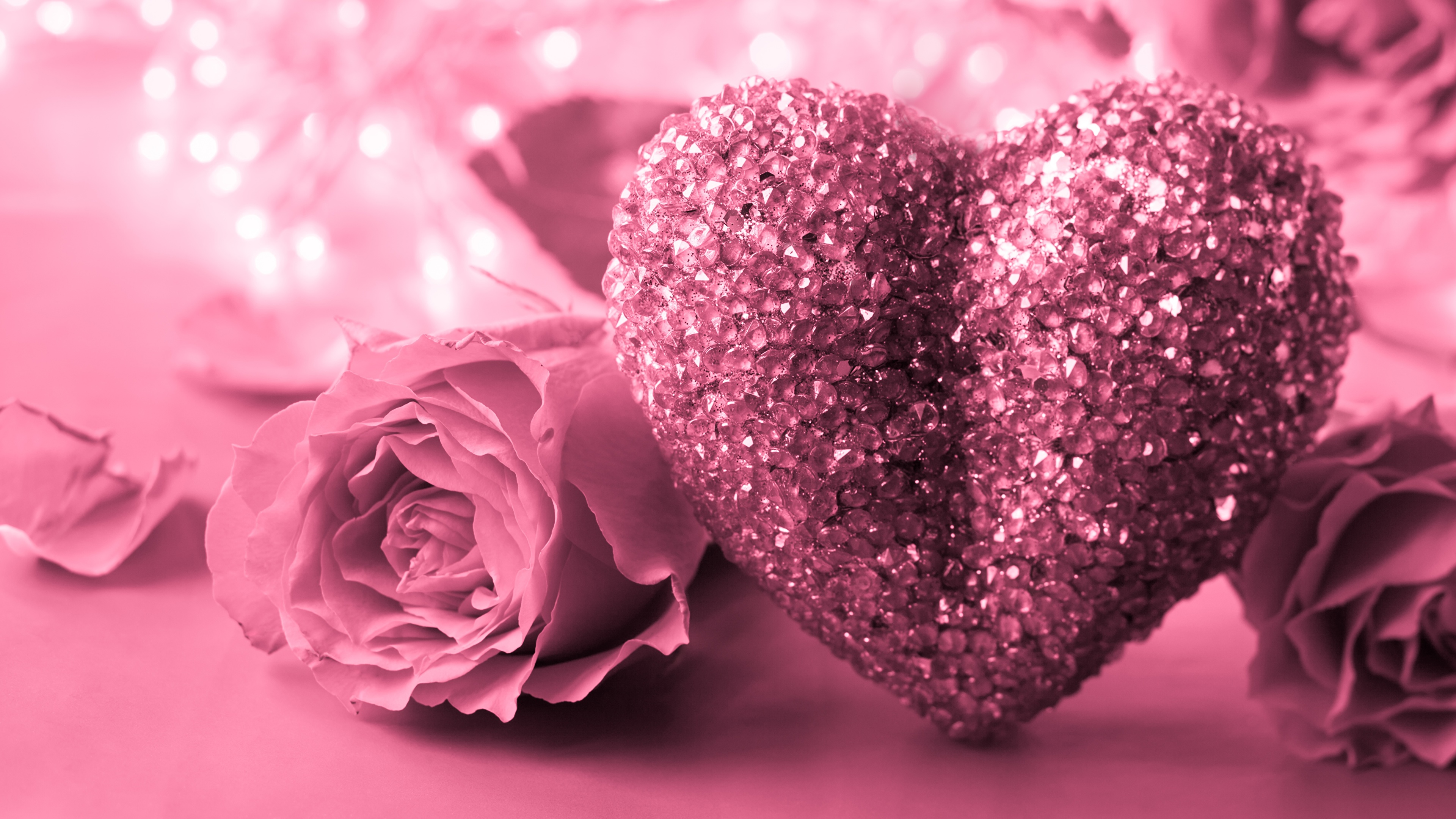 Valentines day  red heart roses close up 2K wallpaper download
