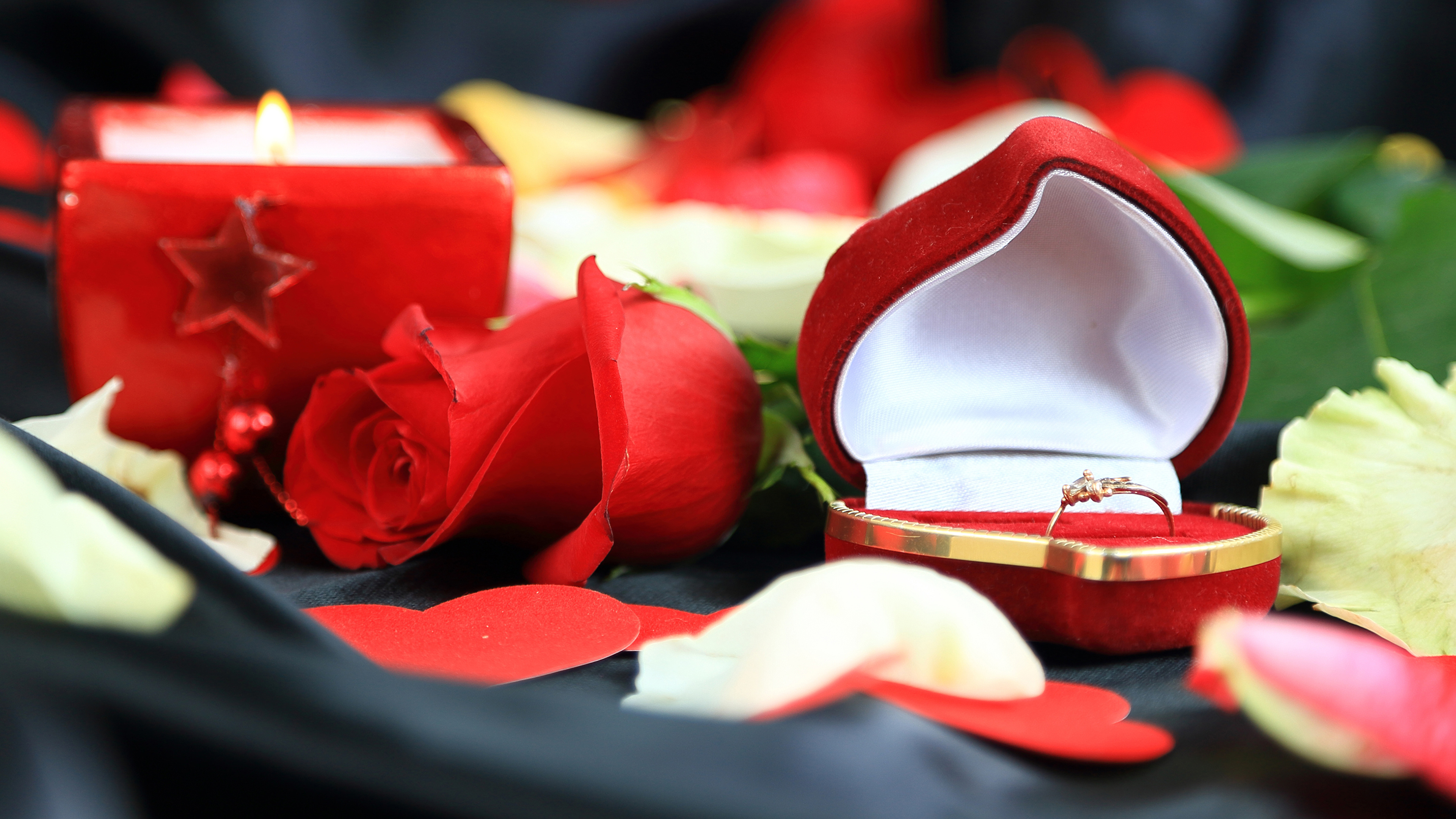 Image of Ring ceremony photo . Wedding ring . Engagement ring-GK767715-Picxy