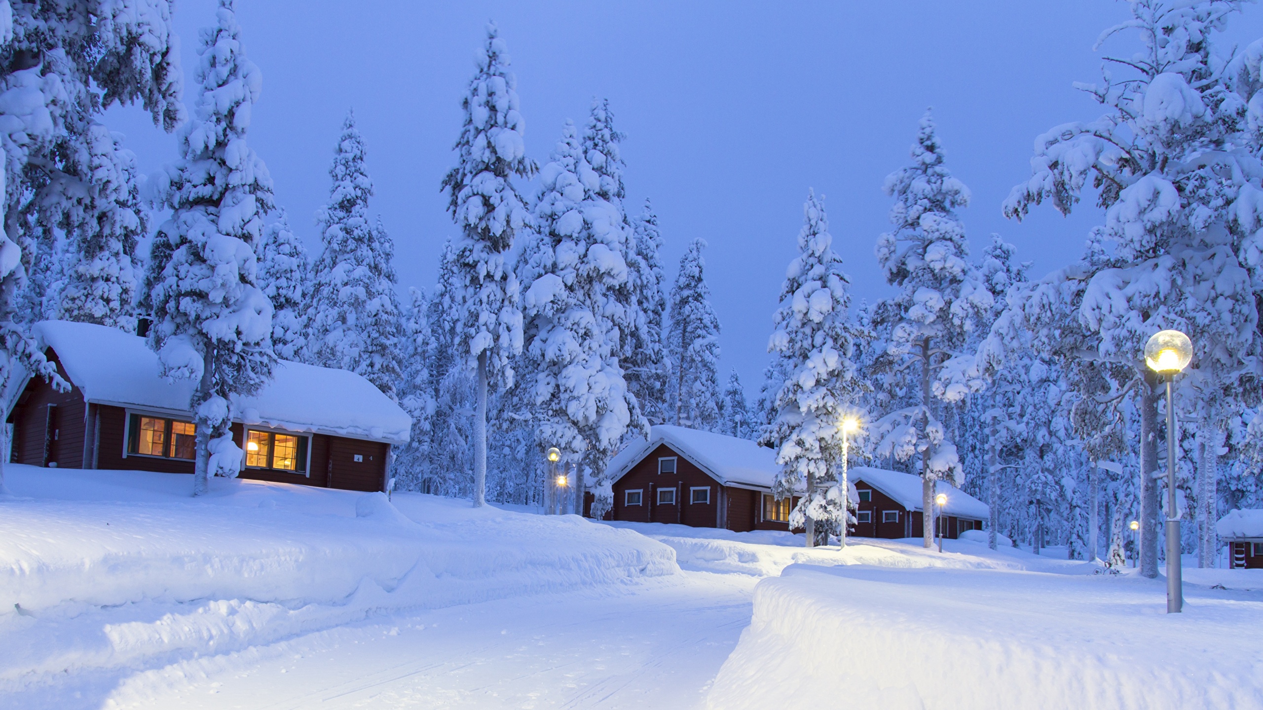Bilder Lappland Landschaft Finnland Fichten Schnee 2560x1440