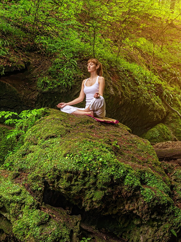 Photo Brown haired Yoga Rock Nature young woman Moss Stones 600x800