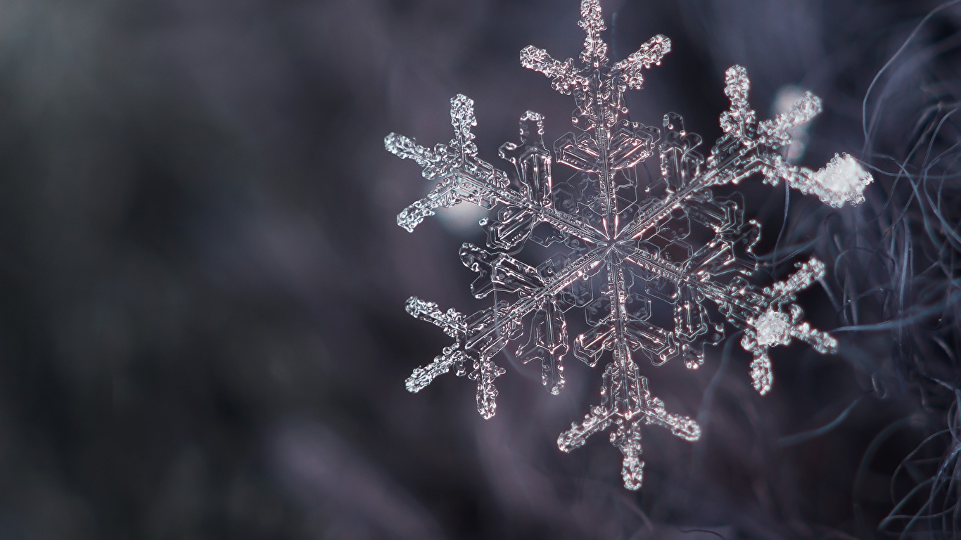 壁紙 1366x768 クローズアップ 接写 雪の結晶 ダウンロード 写真