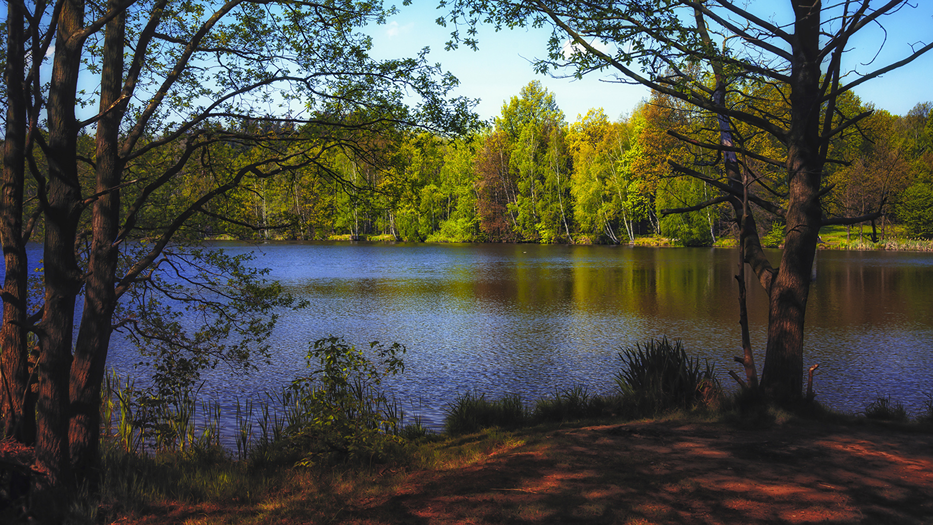 Desktop Hintergrundbilder Natur Herbst See Walder Baume 19x1080