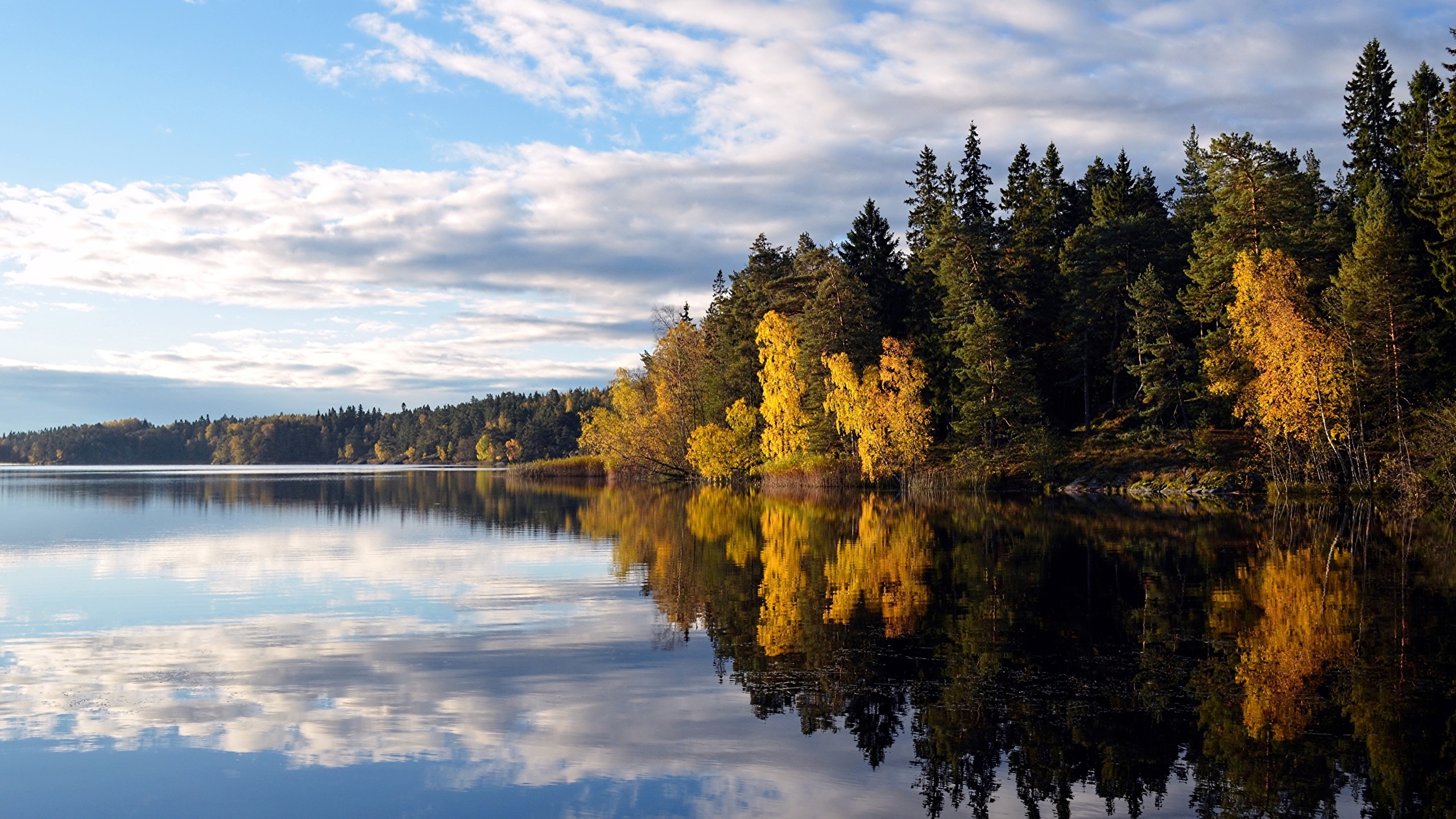 Image Sweden Flaten lake Autumn Nature Lake Forests Trees 2560x1440