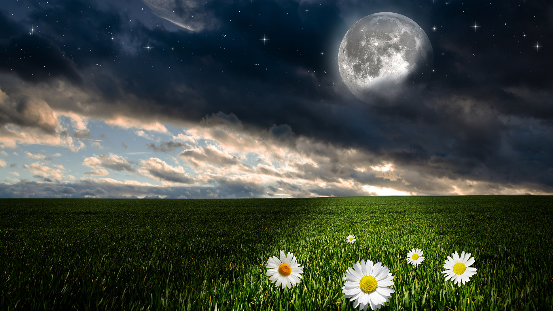 壁紙 19x1080 風景攝影 田地 天空 母菊属 恒星 晚上 月球 云 大自然 下载 照片
