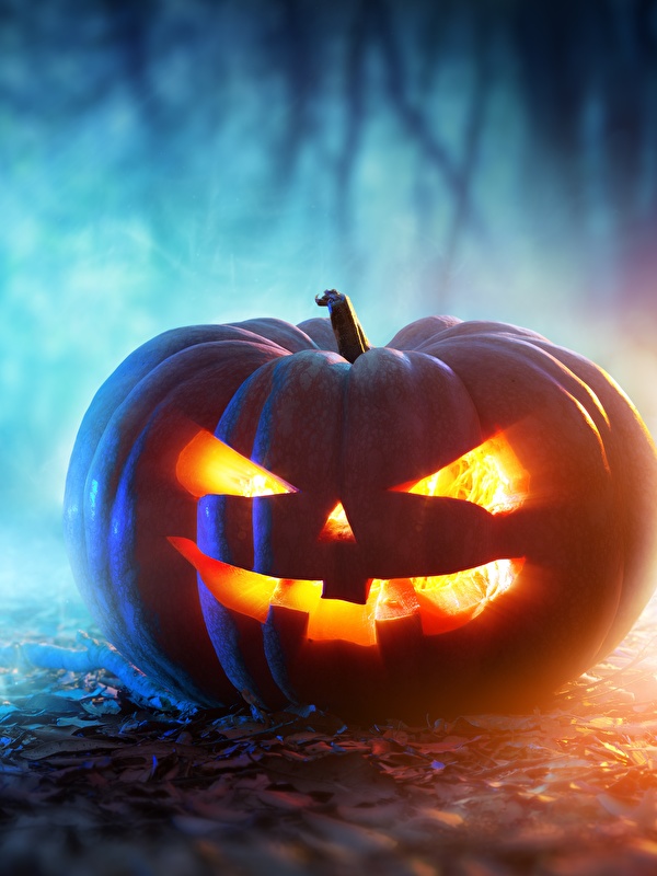 Halloween_Pumpkin_Holidays_512937_600x800.jpg