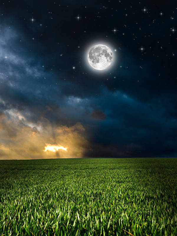 Images Stars Nature Sky Moon Fields Scenery Night Clouds 600x800