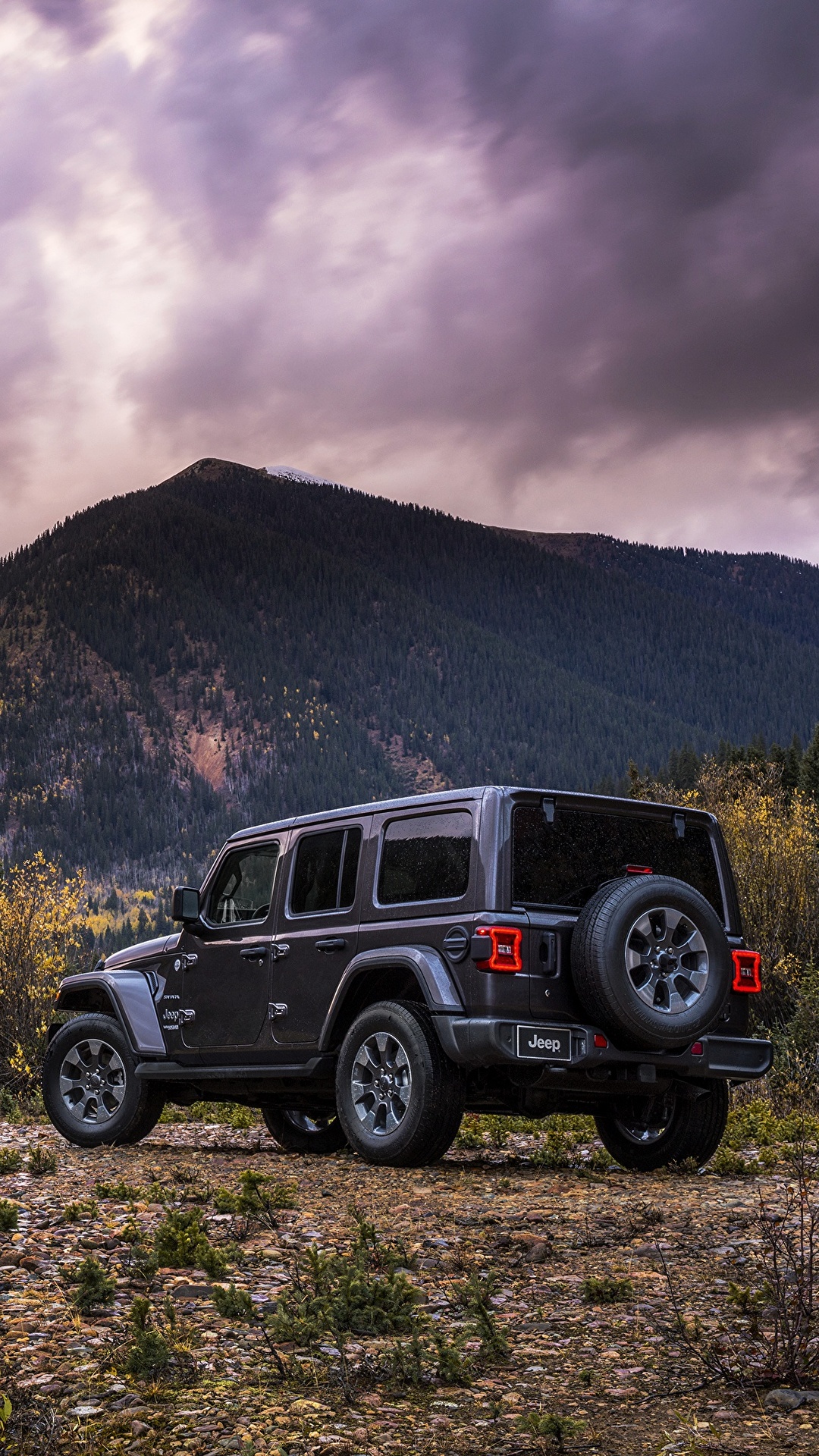 Обои для рабочего стола Jeep 2018 Wrangler Sahara Сзади 1080x1920