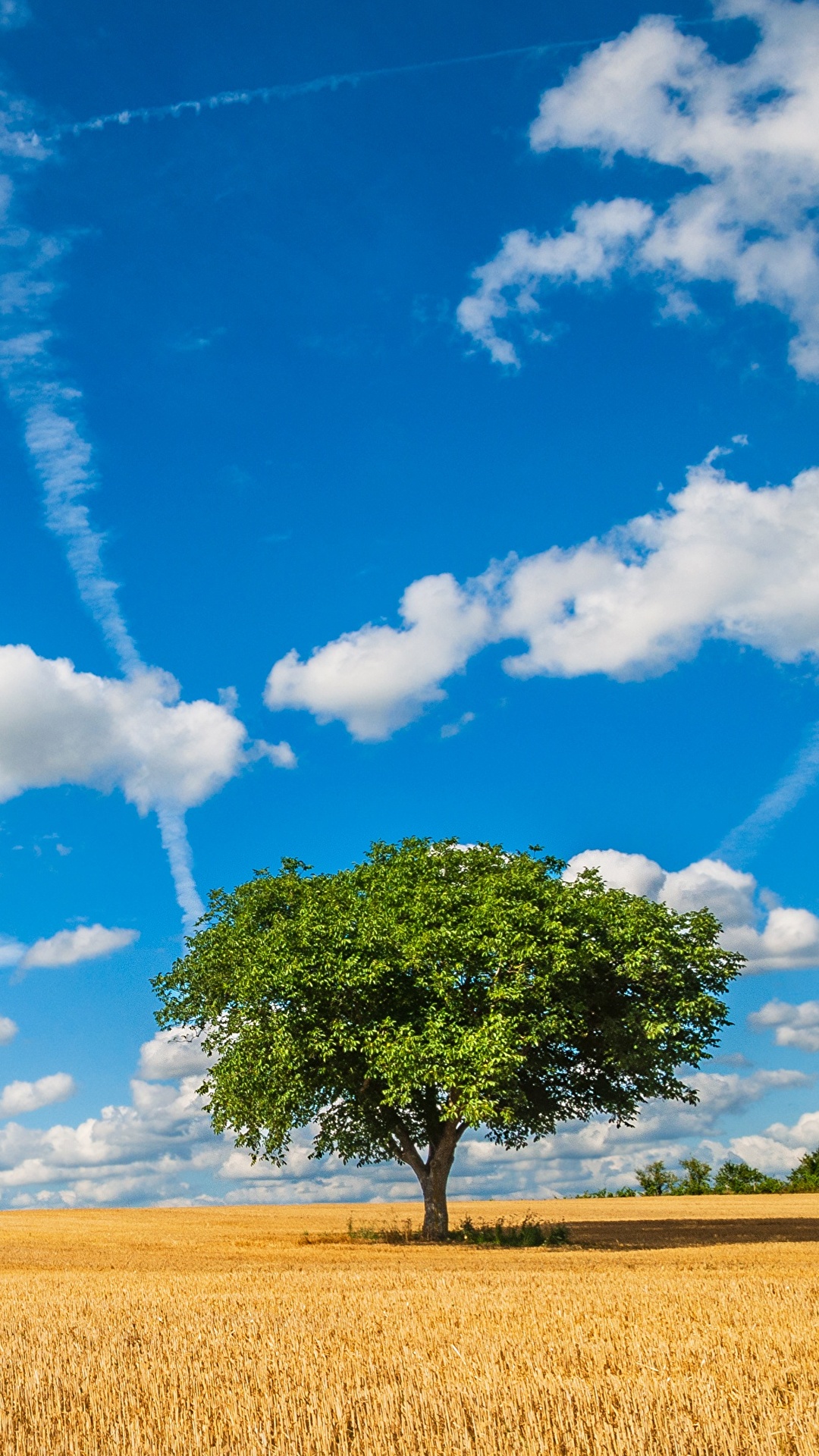 Desktop Wallpapers Nature Sky Fields Trees Clouds 1080x19