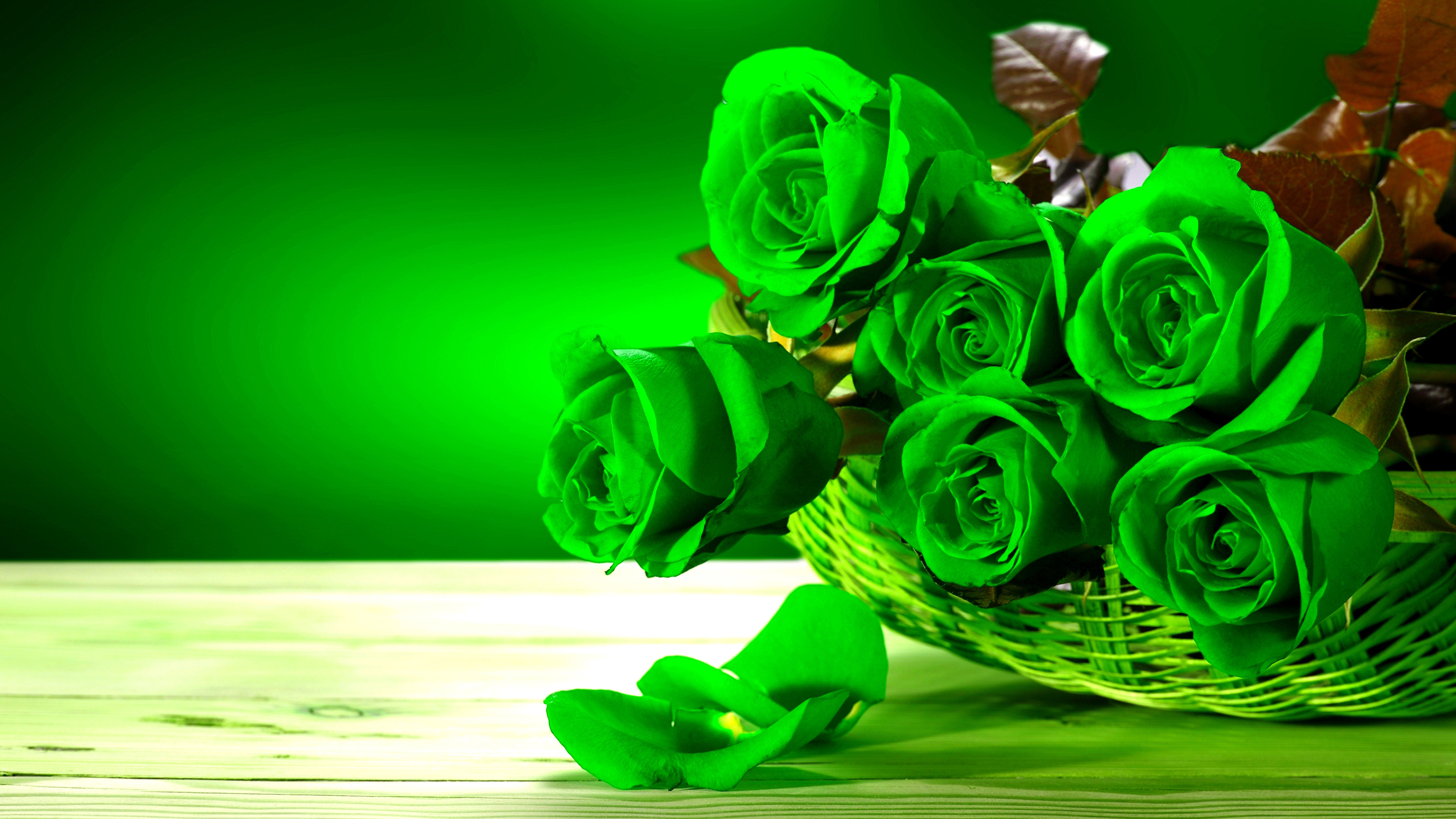 壁紙 3840x2160 バラ クローズアップ 緑 花びら 花 ダウンロード 写真