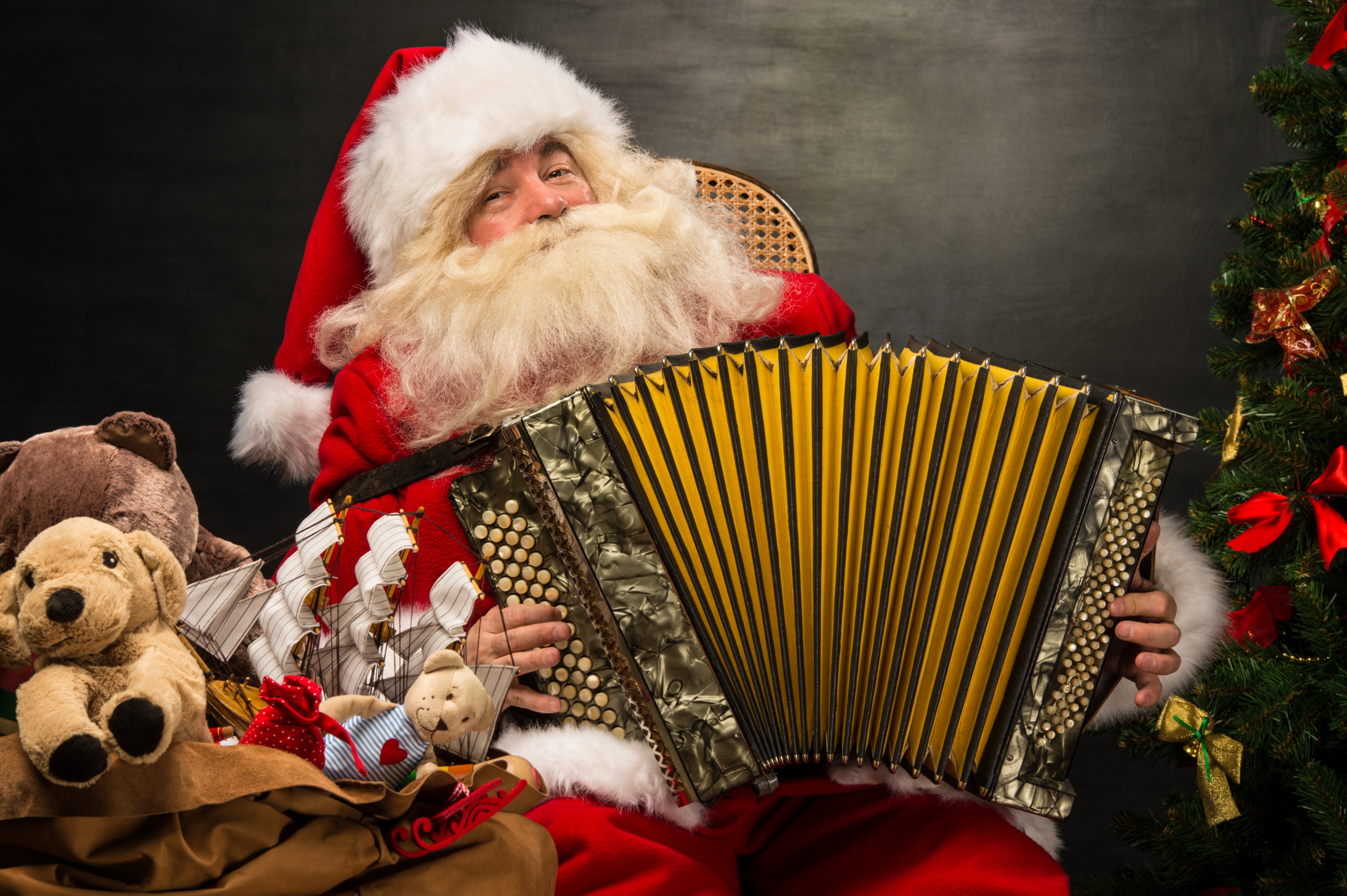 Музыка новый год русские. Дед Мороз с гармошкой. Новый год дед Мороз. Дед Мороз с баяном. Баян новый год.