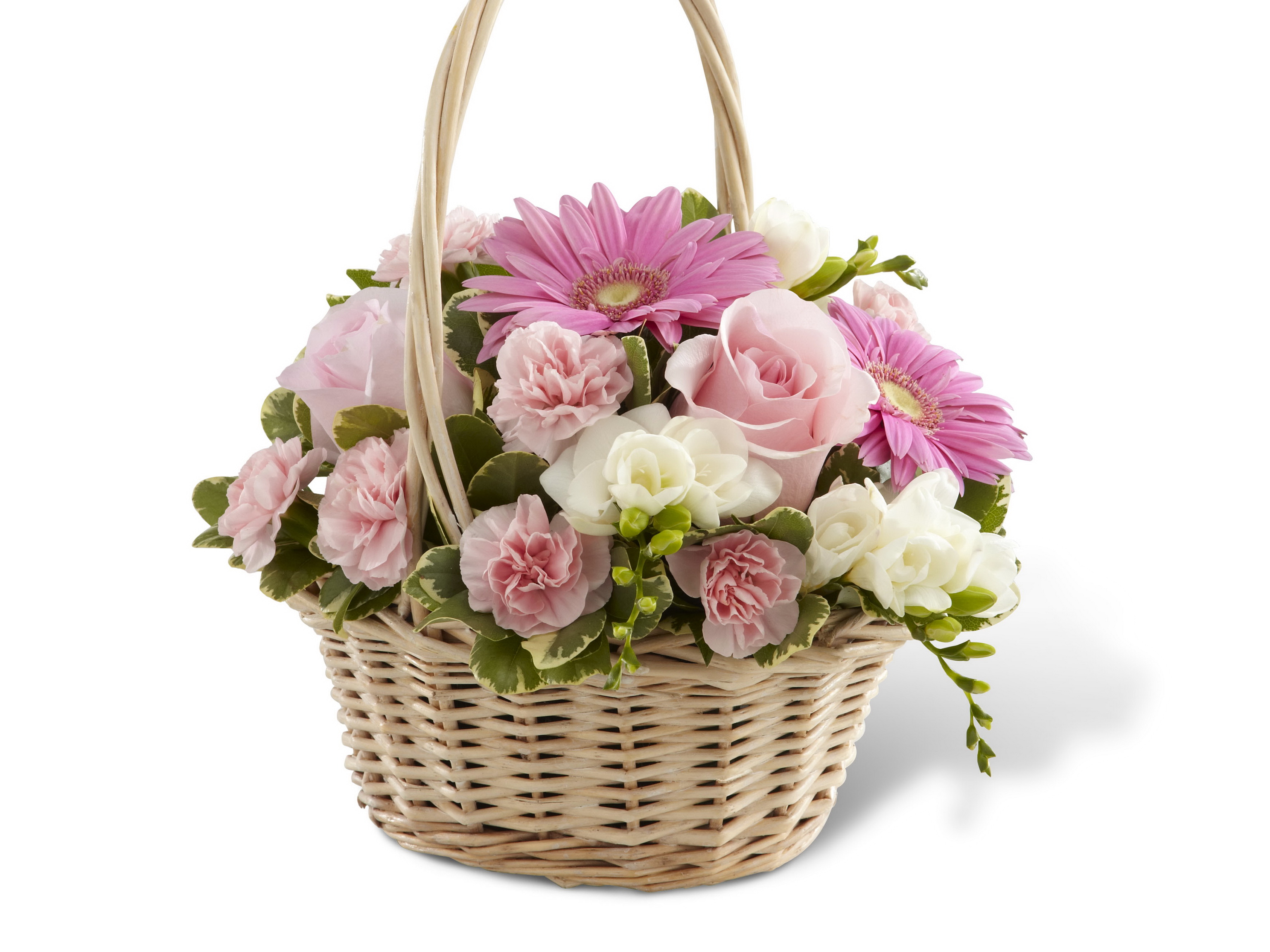 Photo Bouquets Gerberas Flowers Wicker basket