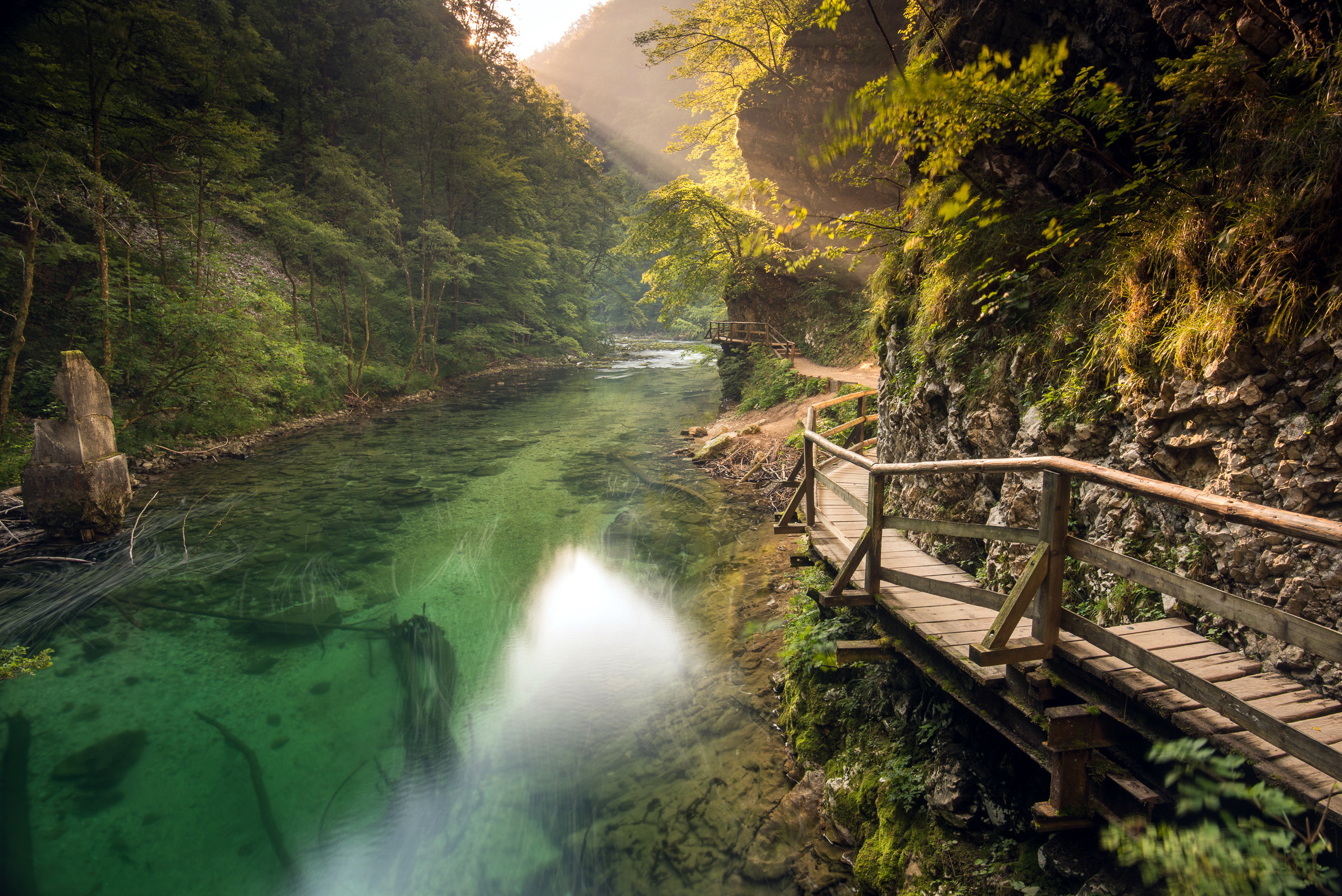 Изумрудная тропа. Ущелье Такатихо Япония. Национальный парк Уоткинс-Глен. Горная река в ущелье. Словения каньон мостки.