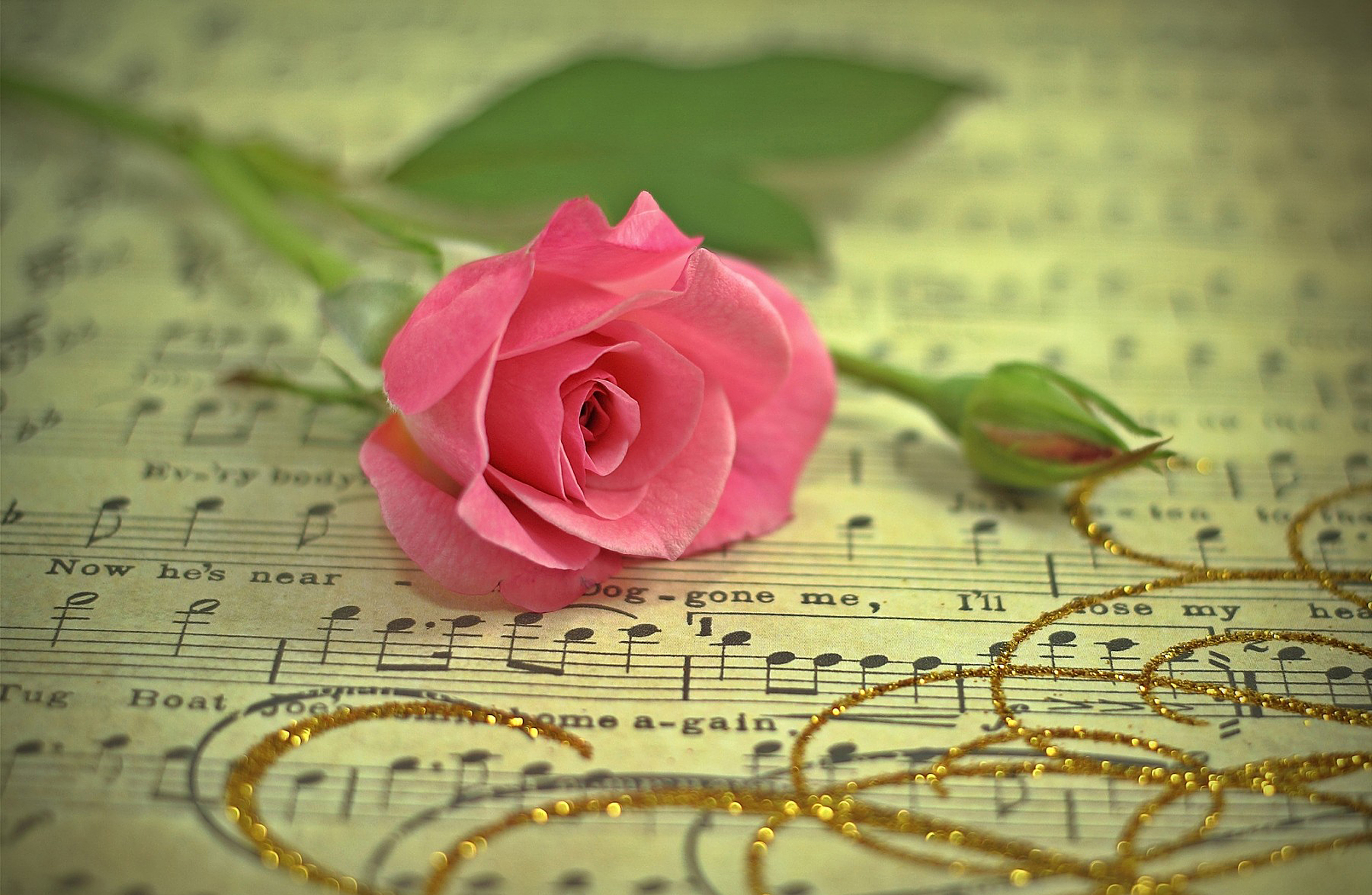 Цветы с красивой песней