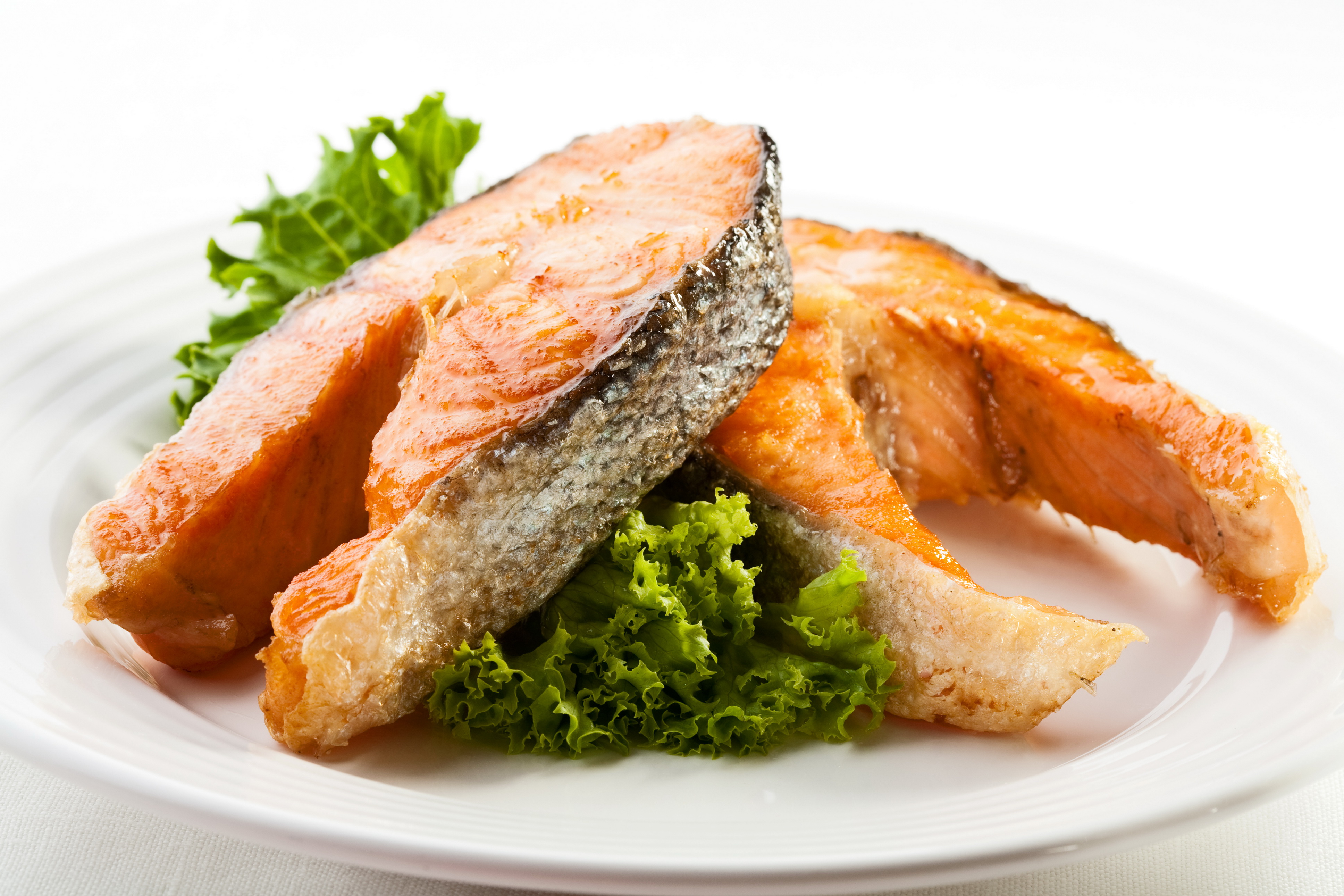 What is Fish Meal and Why is it Important?