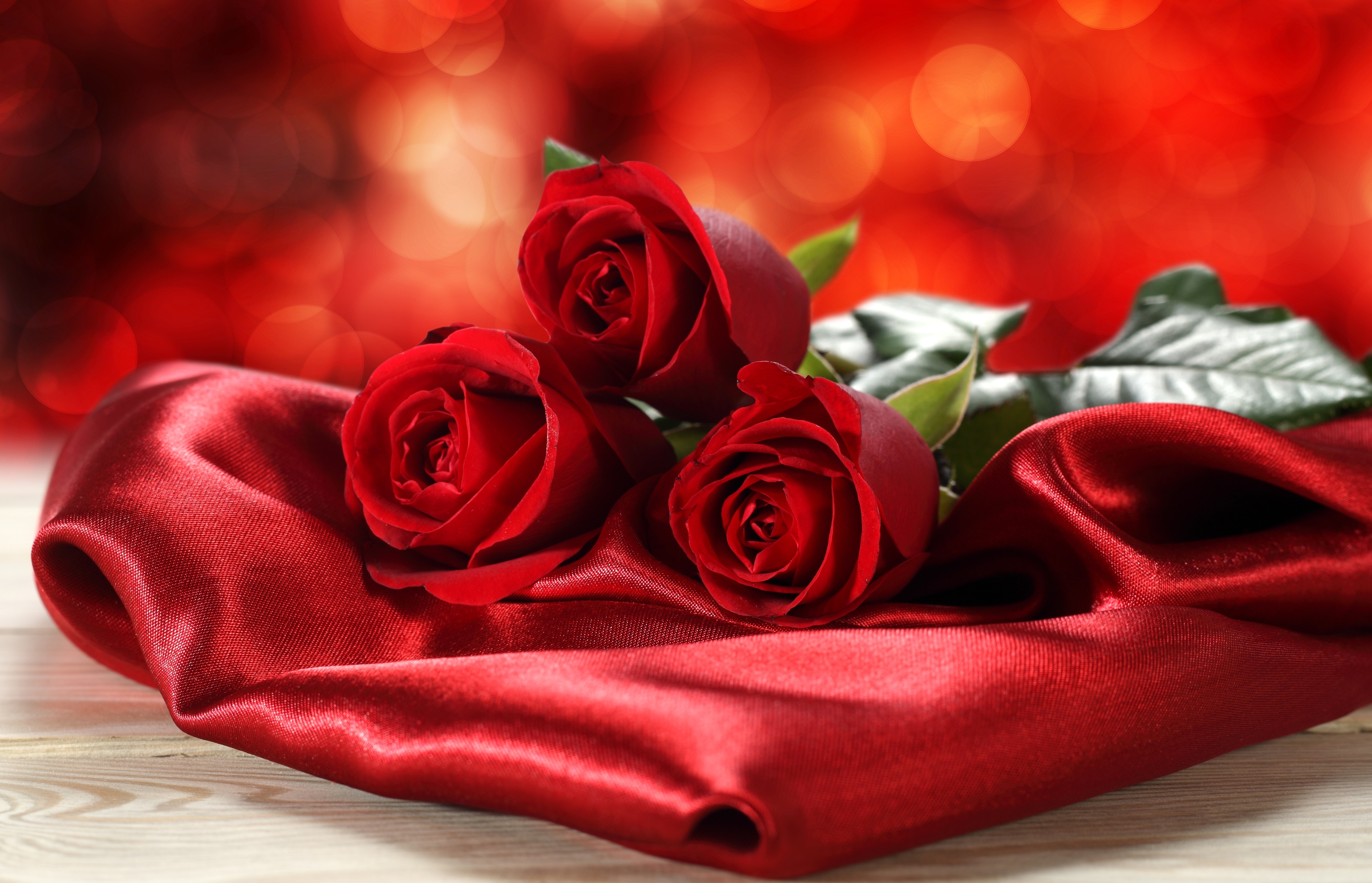 Bilde Rød Roser blomst 4660x3000 rosa Blomster